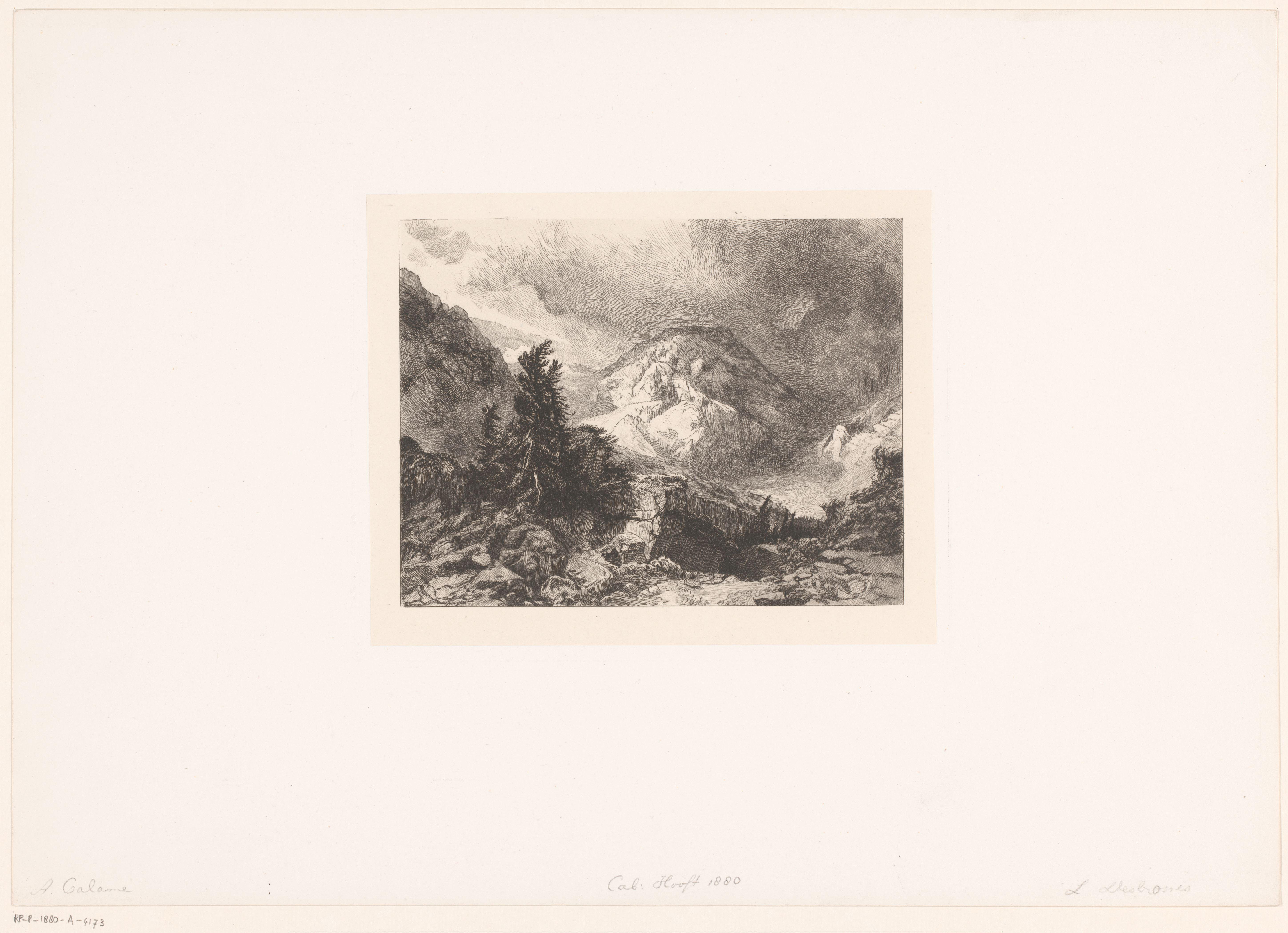 Berglandschap met een spar tussen rotsblokken