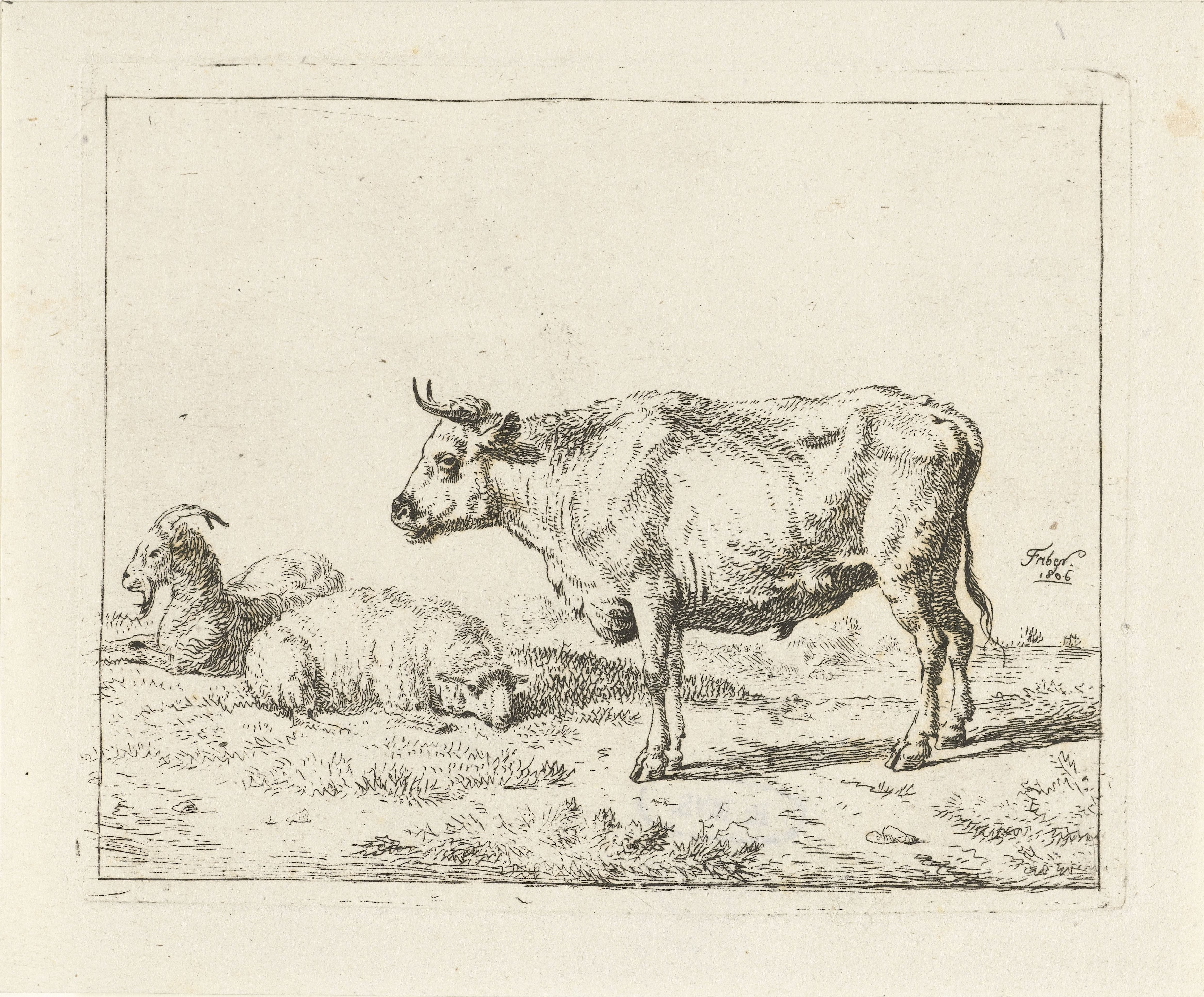 Geit, schaap en staande os
