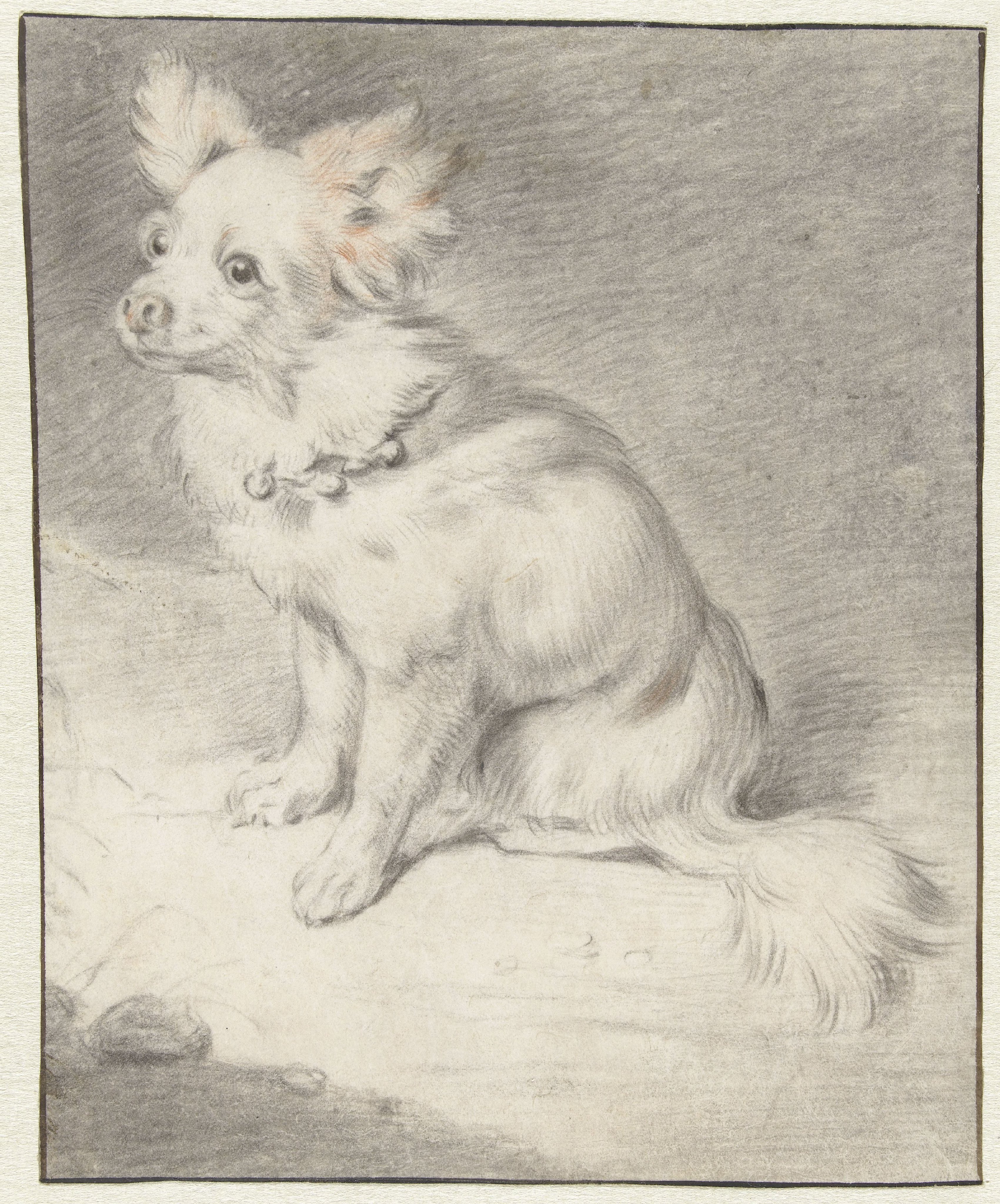 Seated Dog