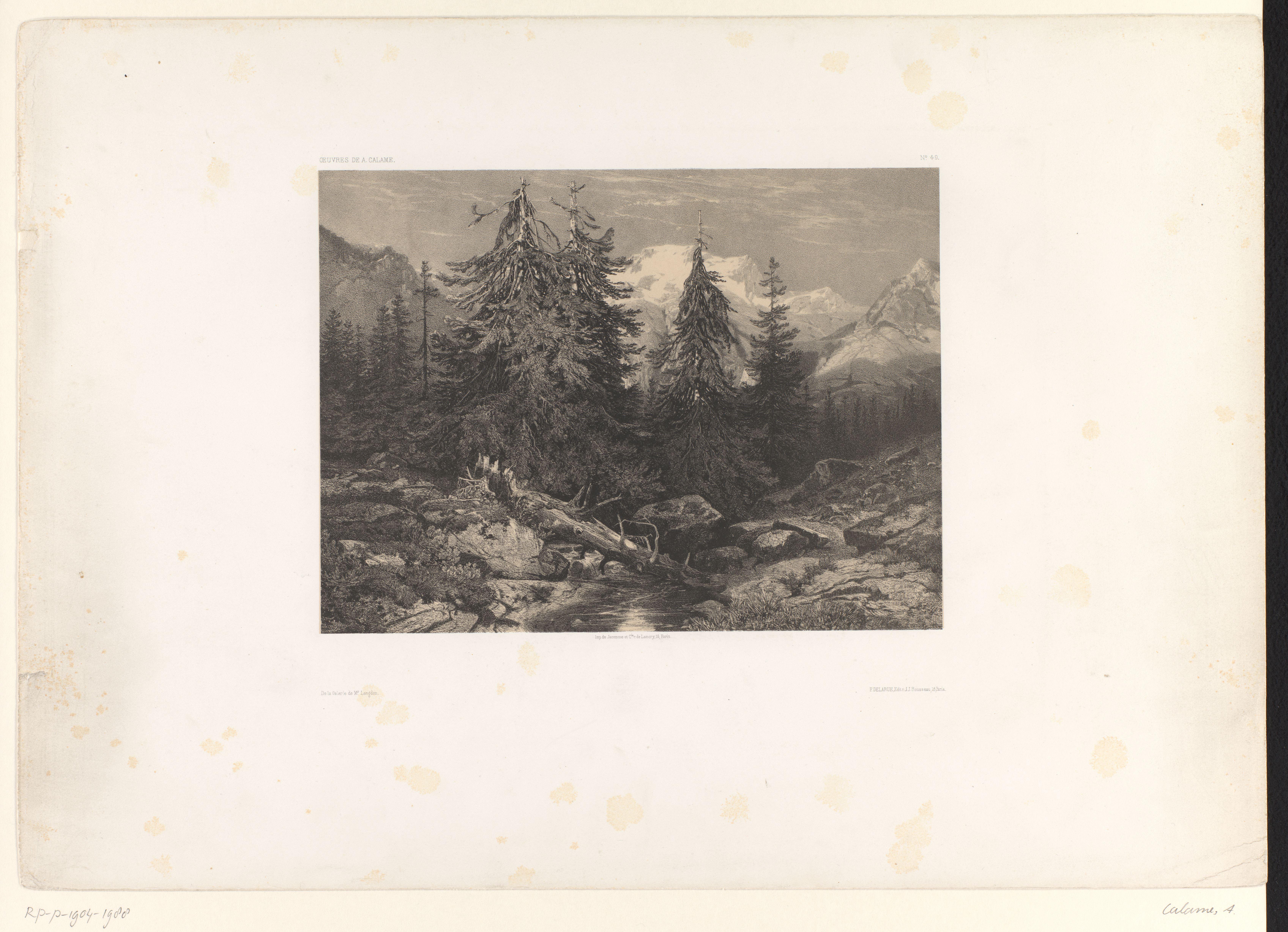 Berglandschap met naaldbomen, beek en omgevallen boom