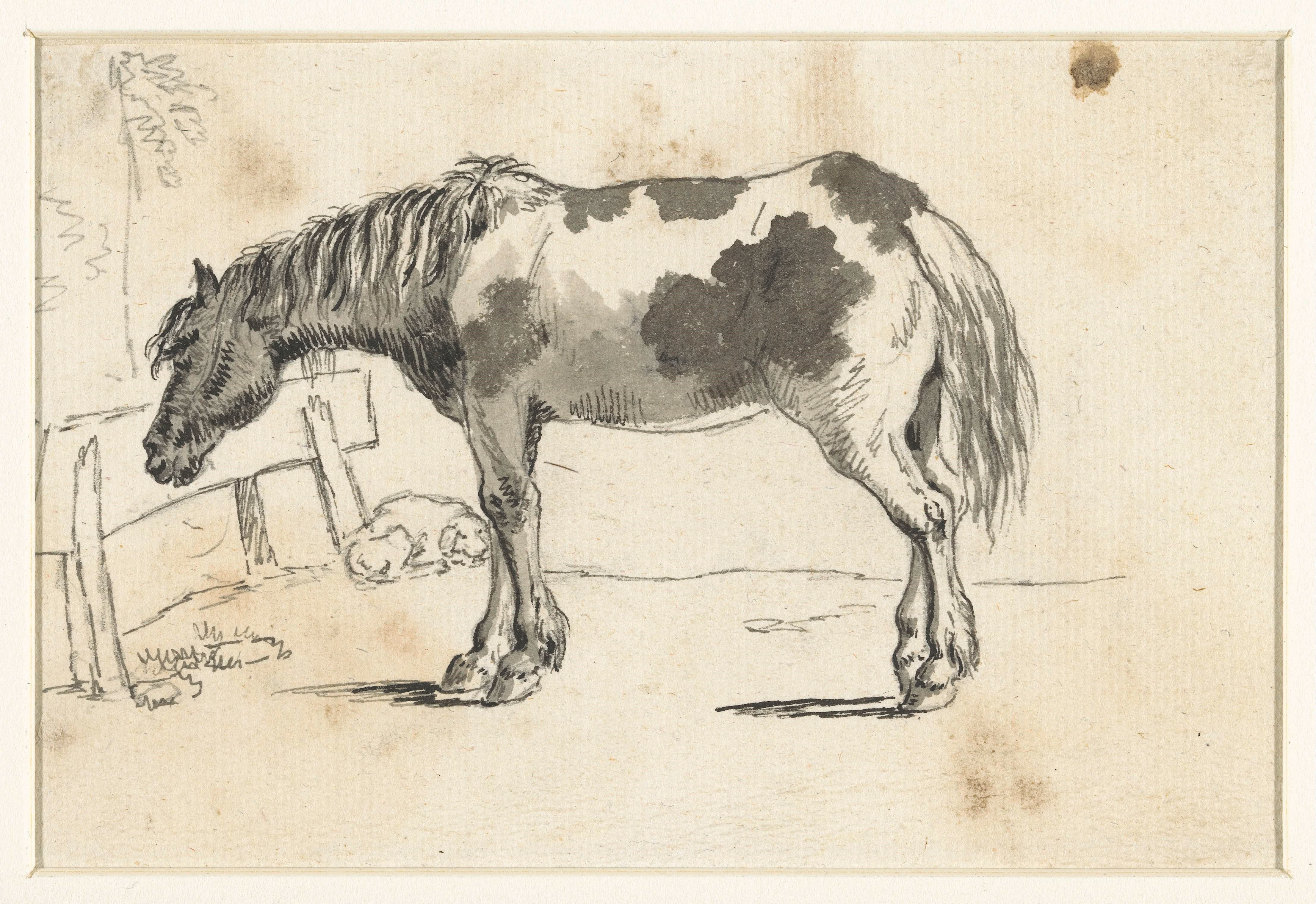 Staand paard en een liggende hond