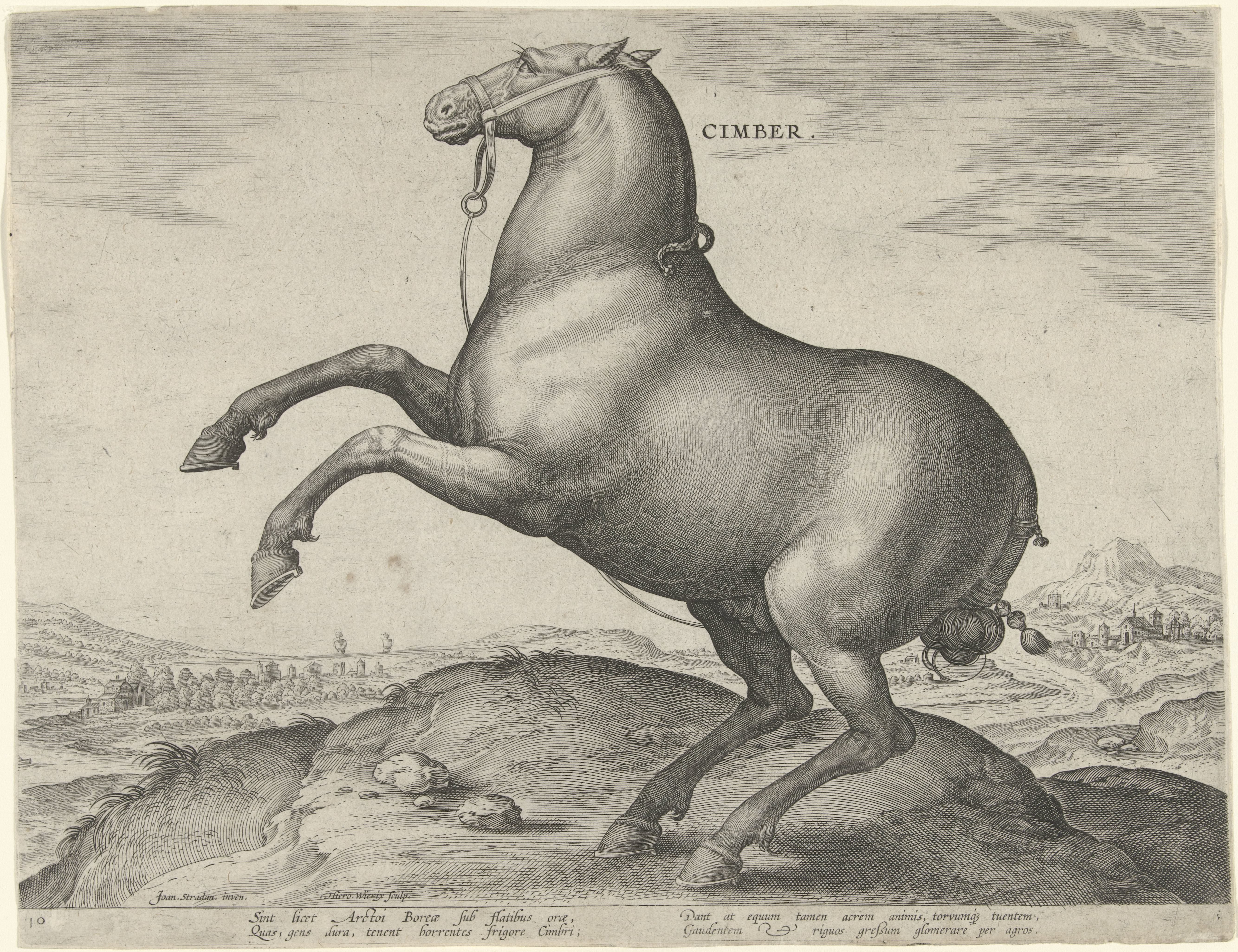 Paard uit Scythië