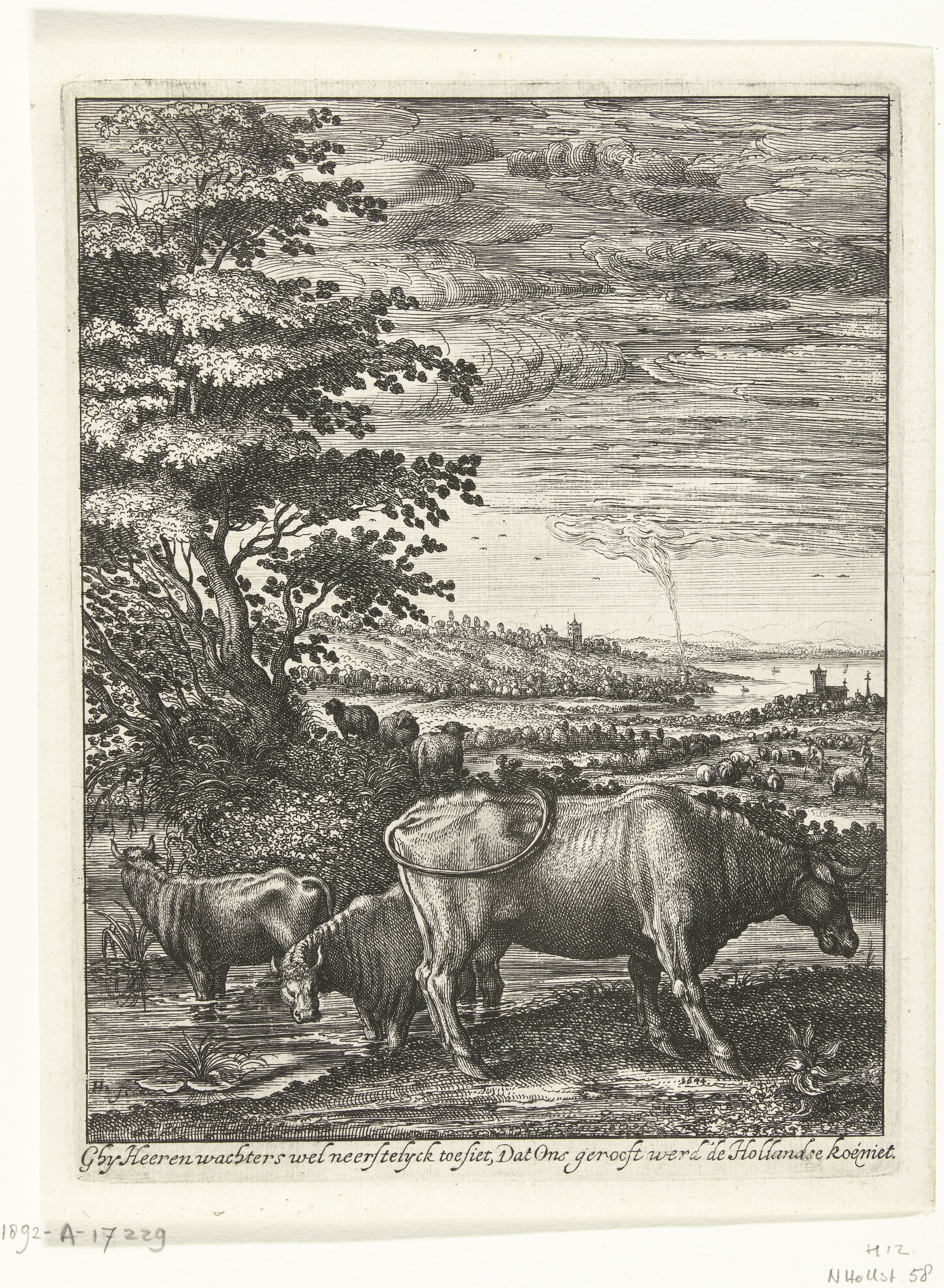 Koeien in een landschap