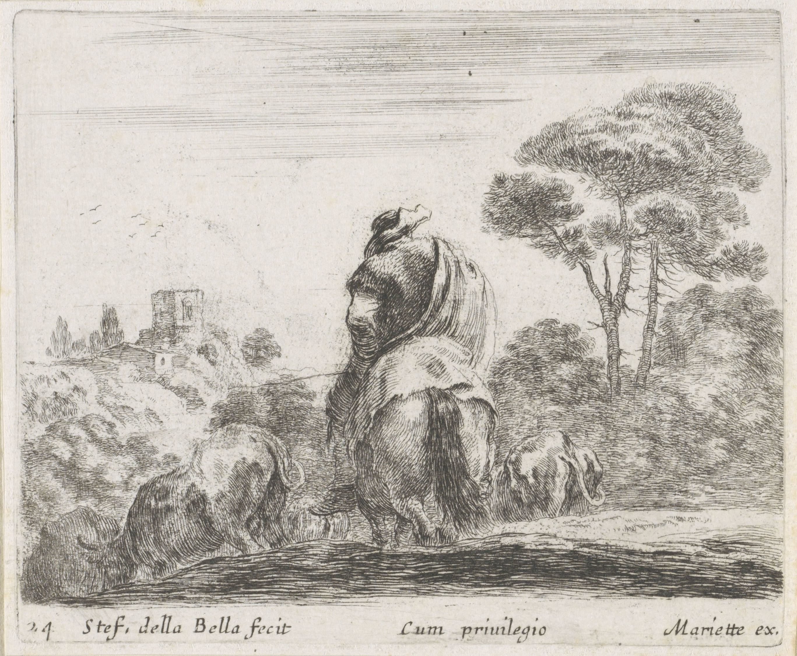 Herder te paard op de rug gezien in een landschap met koeien