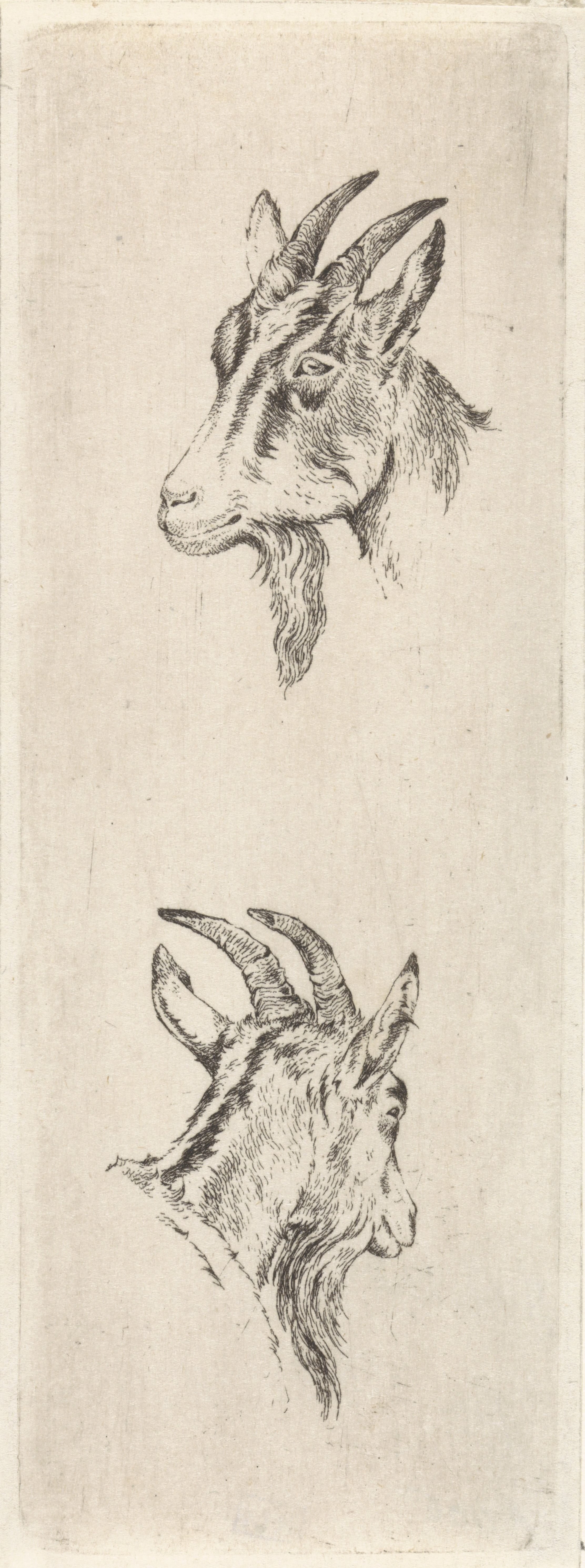 Pieter Janson