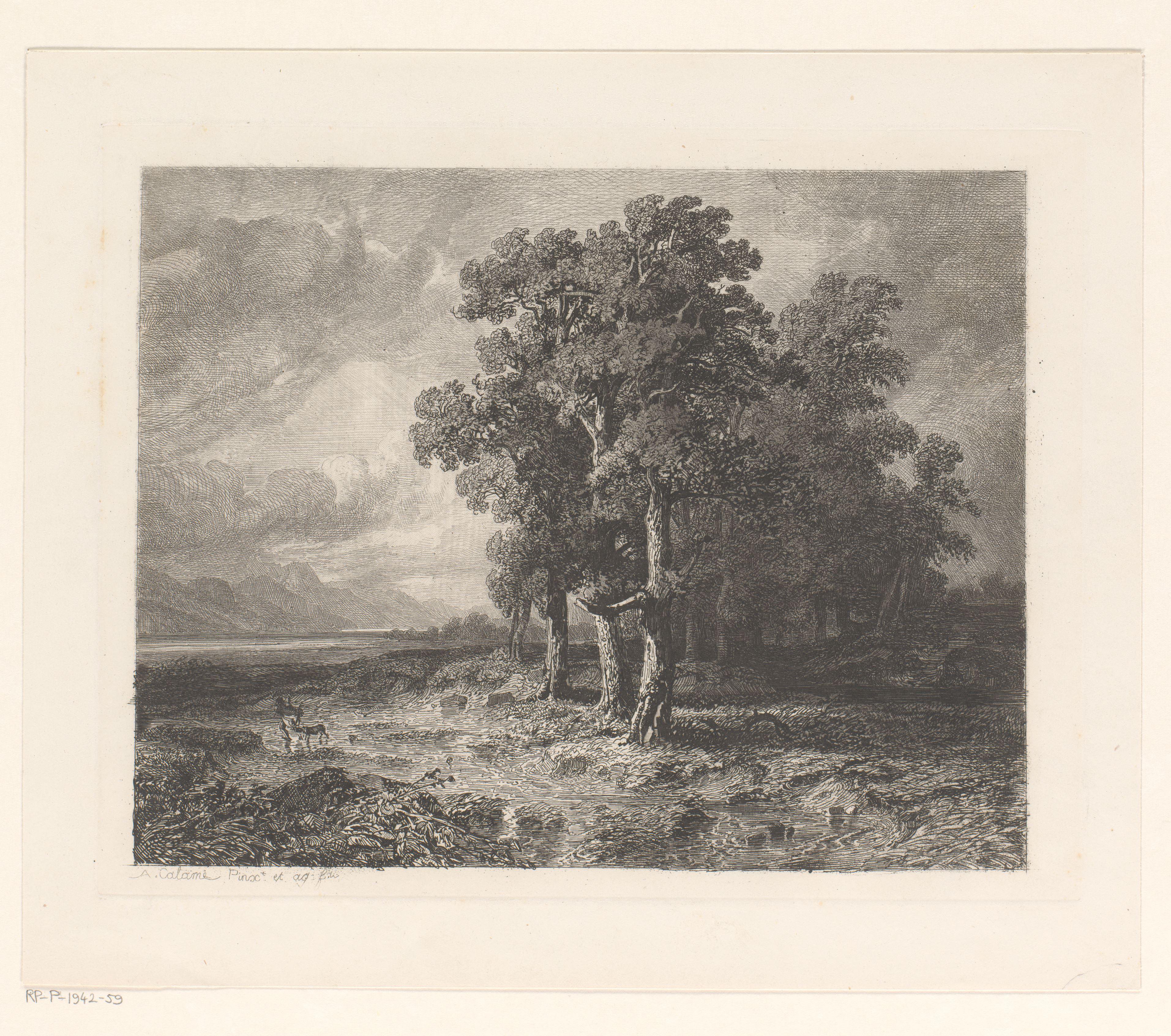 Berglandschap bij een Zwitsers meer