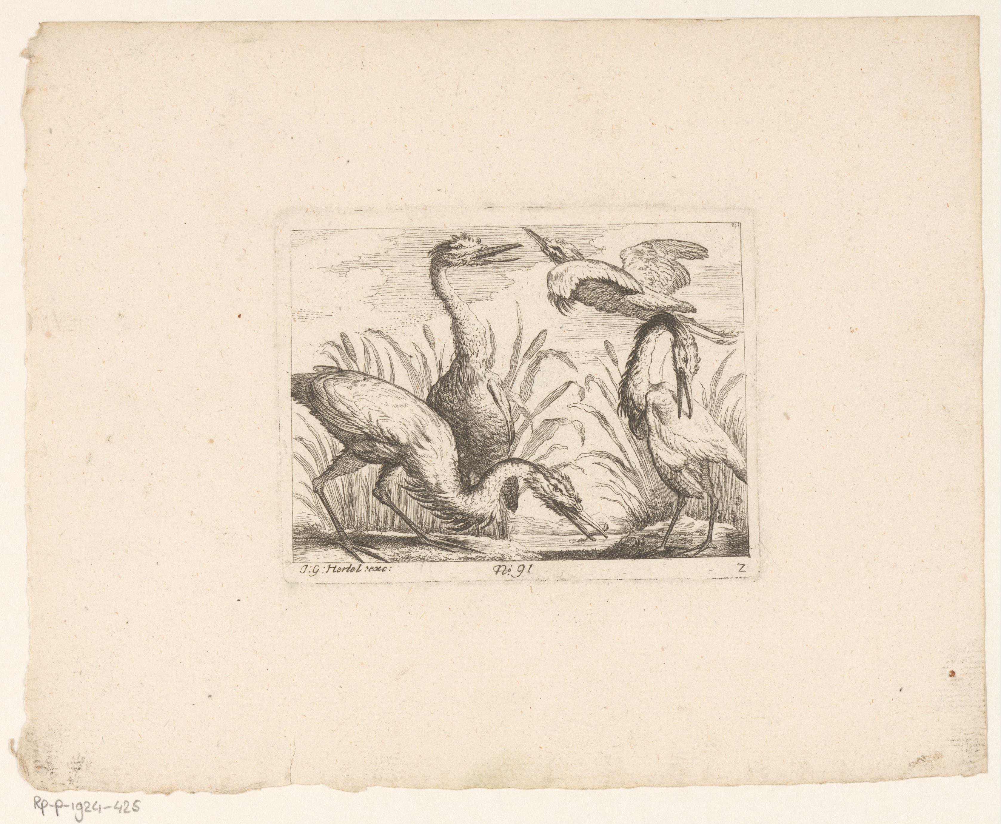 Landschap met vier reigers