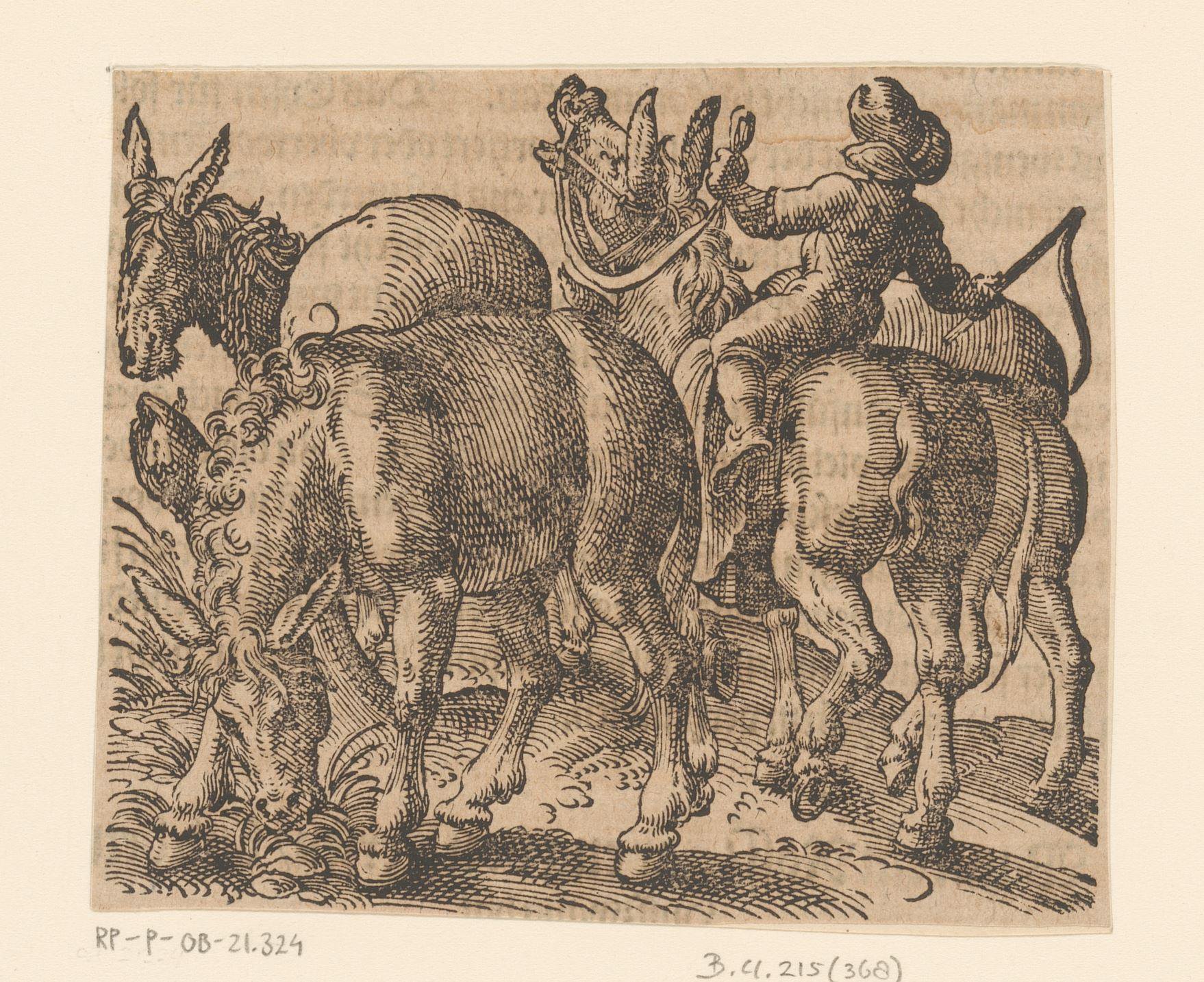 Boer met vier ezels