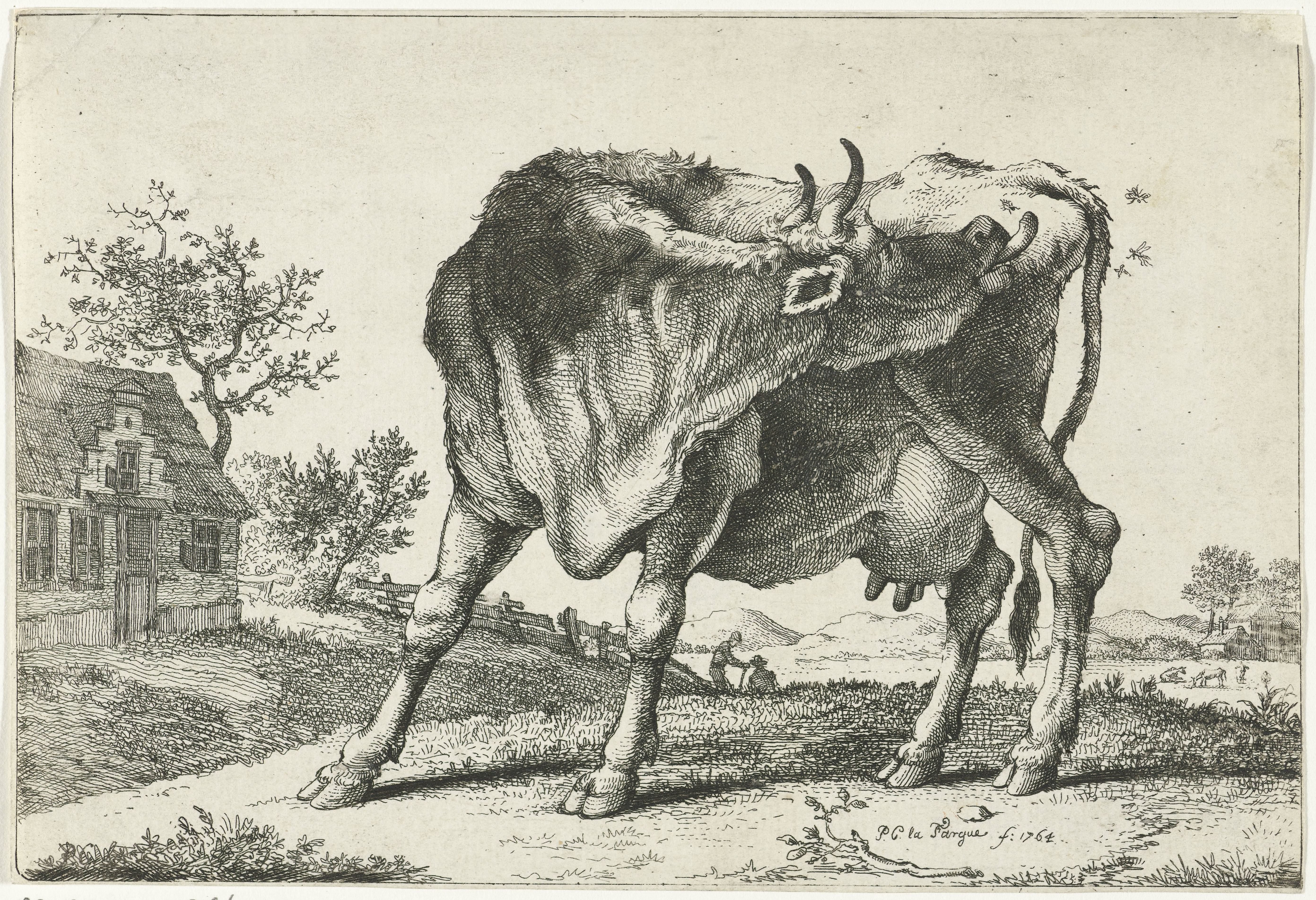 Staande koe