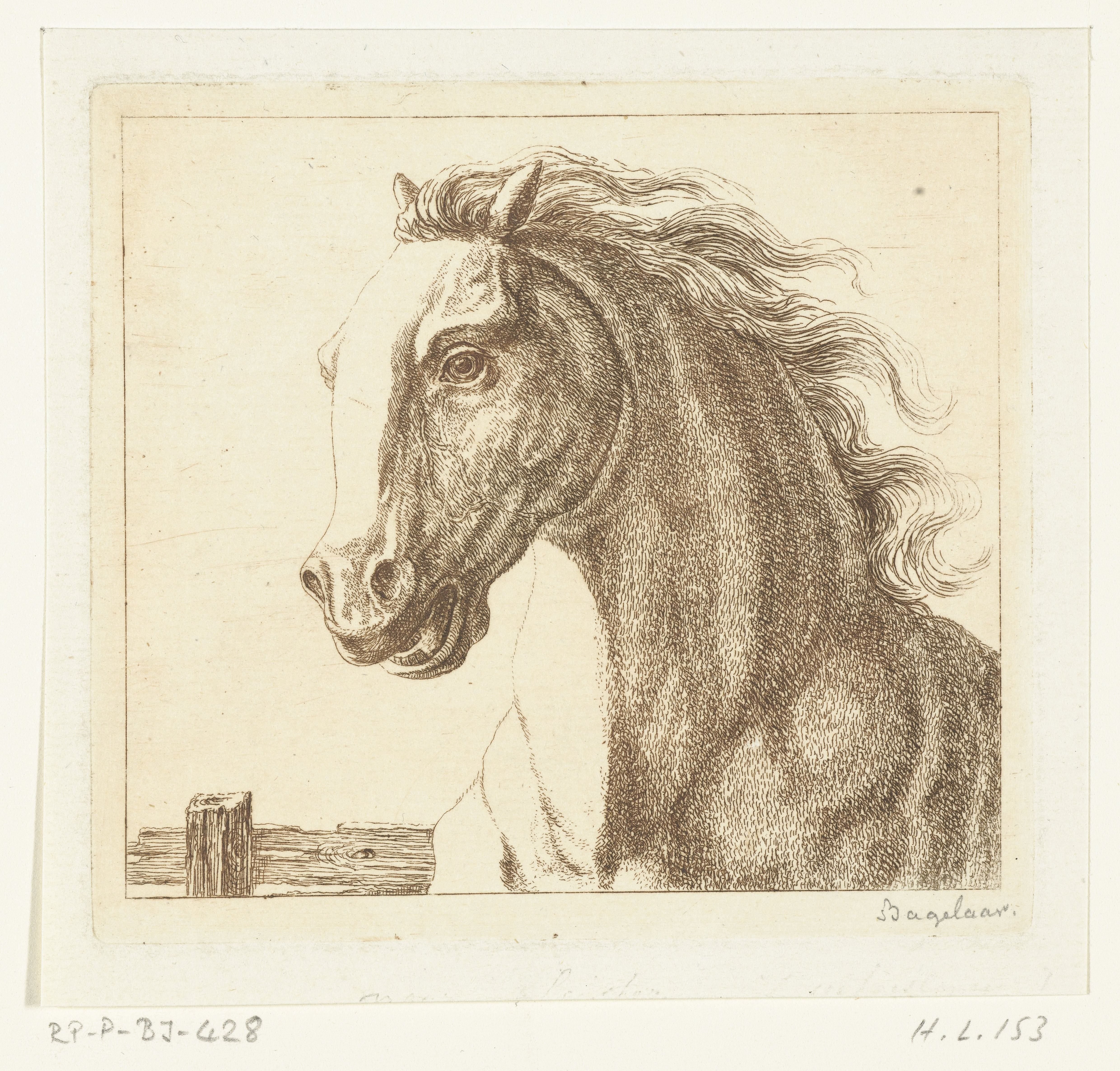 Paardenhoofd