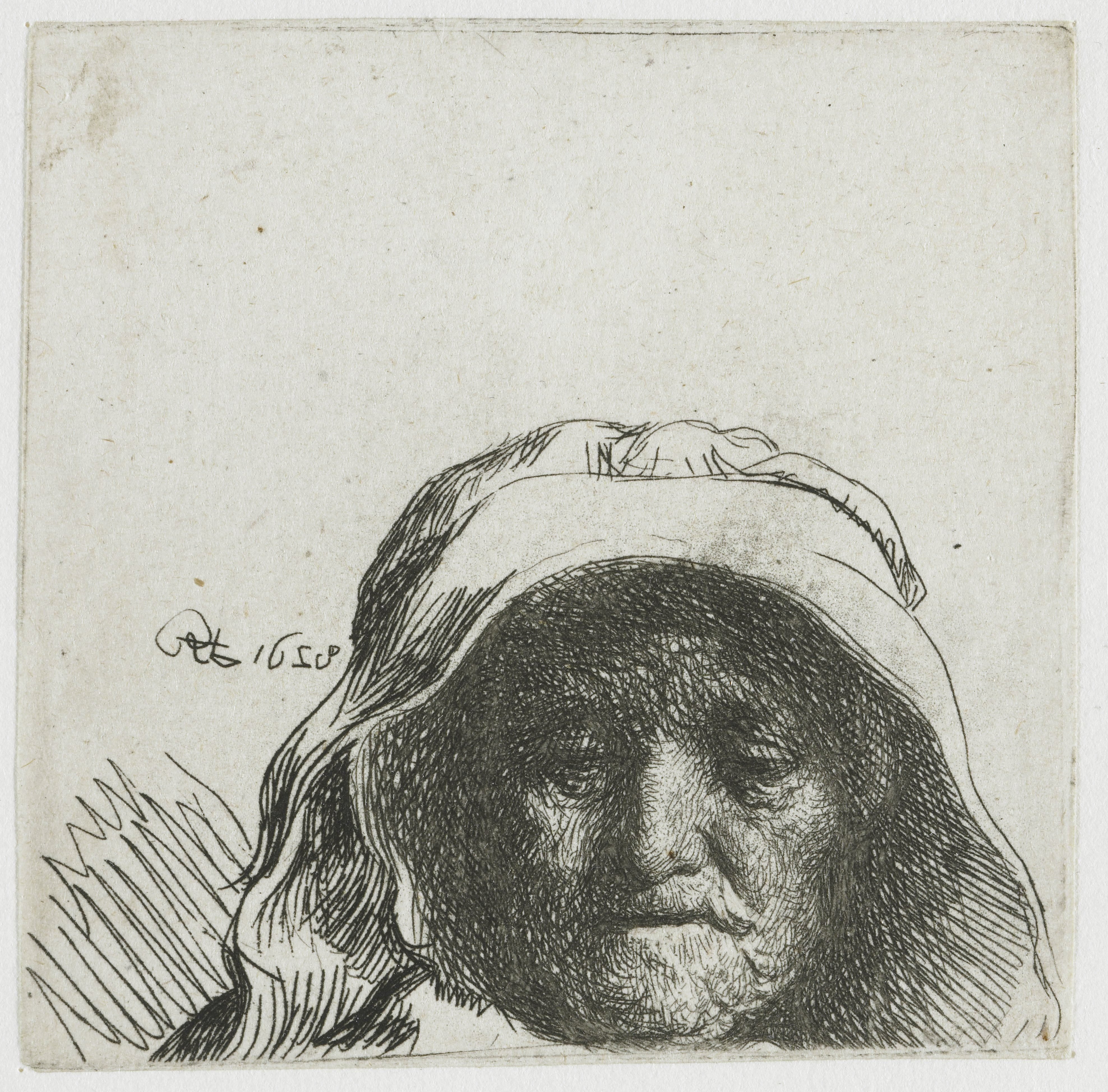 The artist's mother: head only, full face