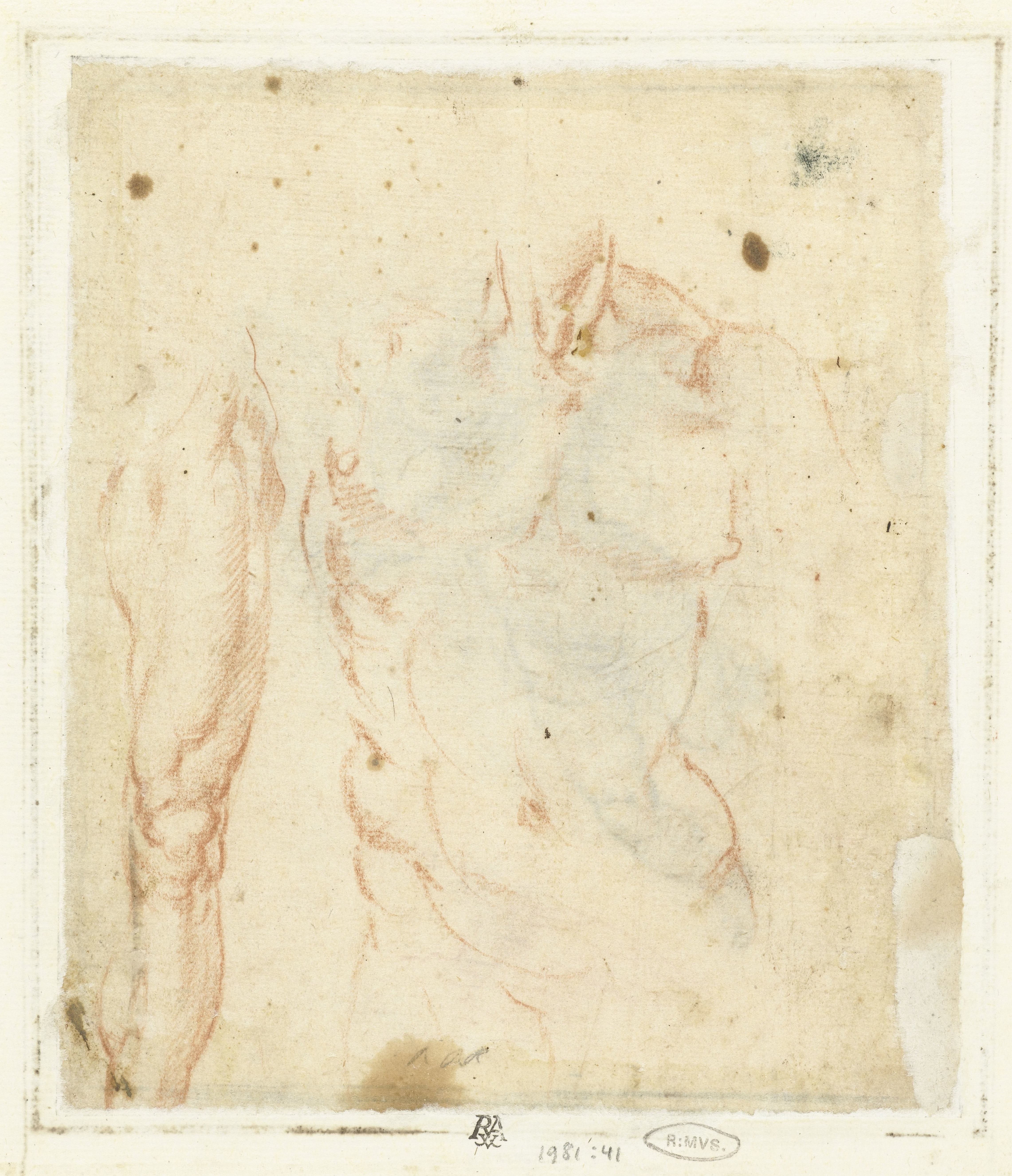 Mannelijk torso en been