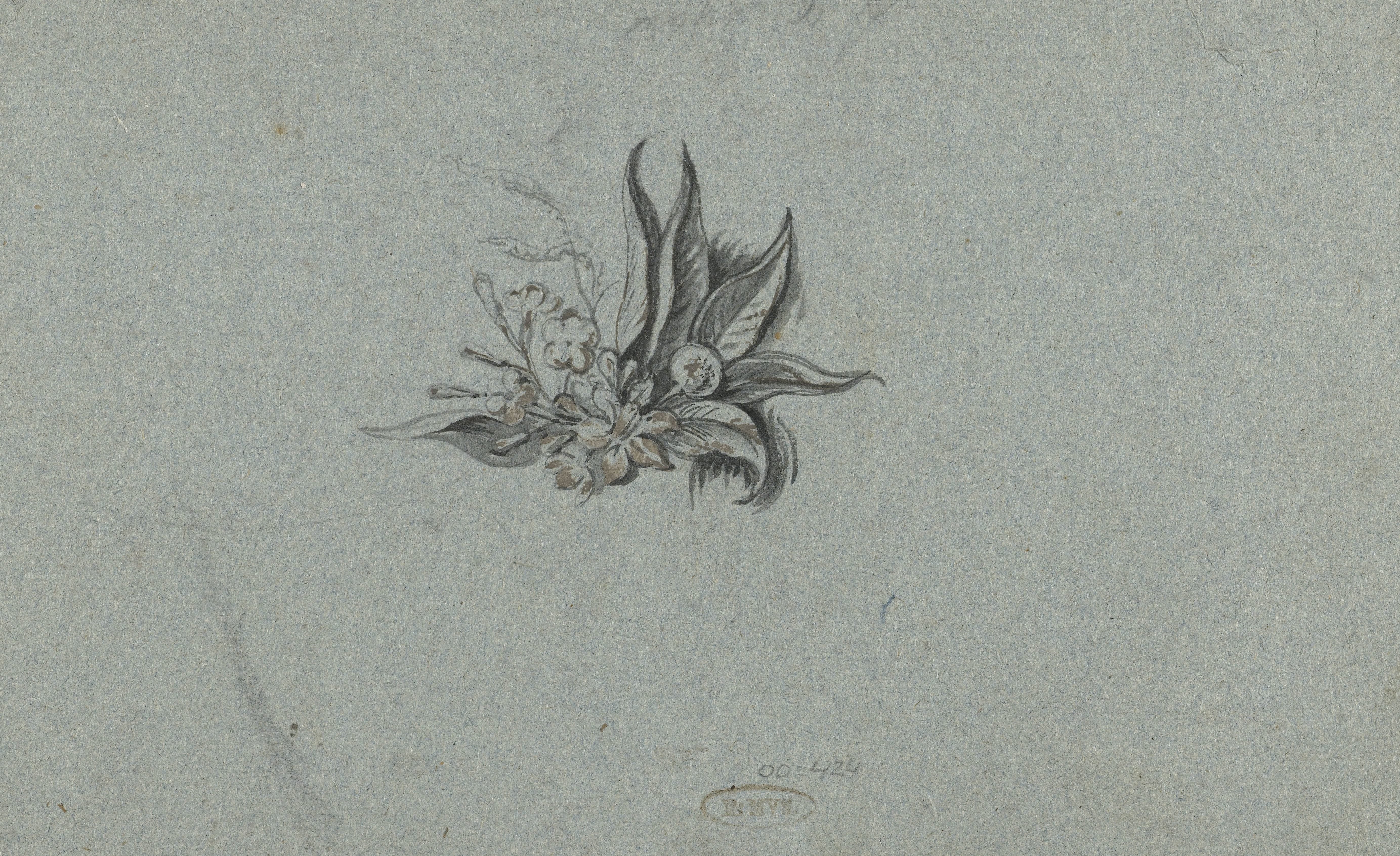 Plantstudie