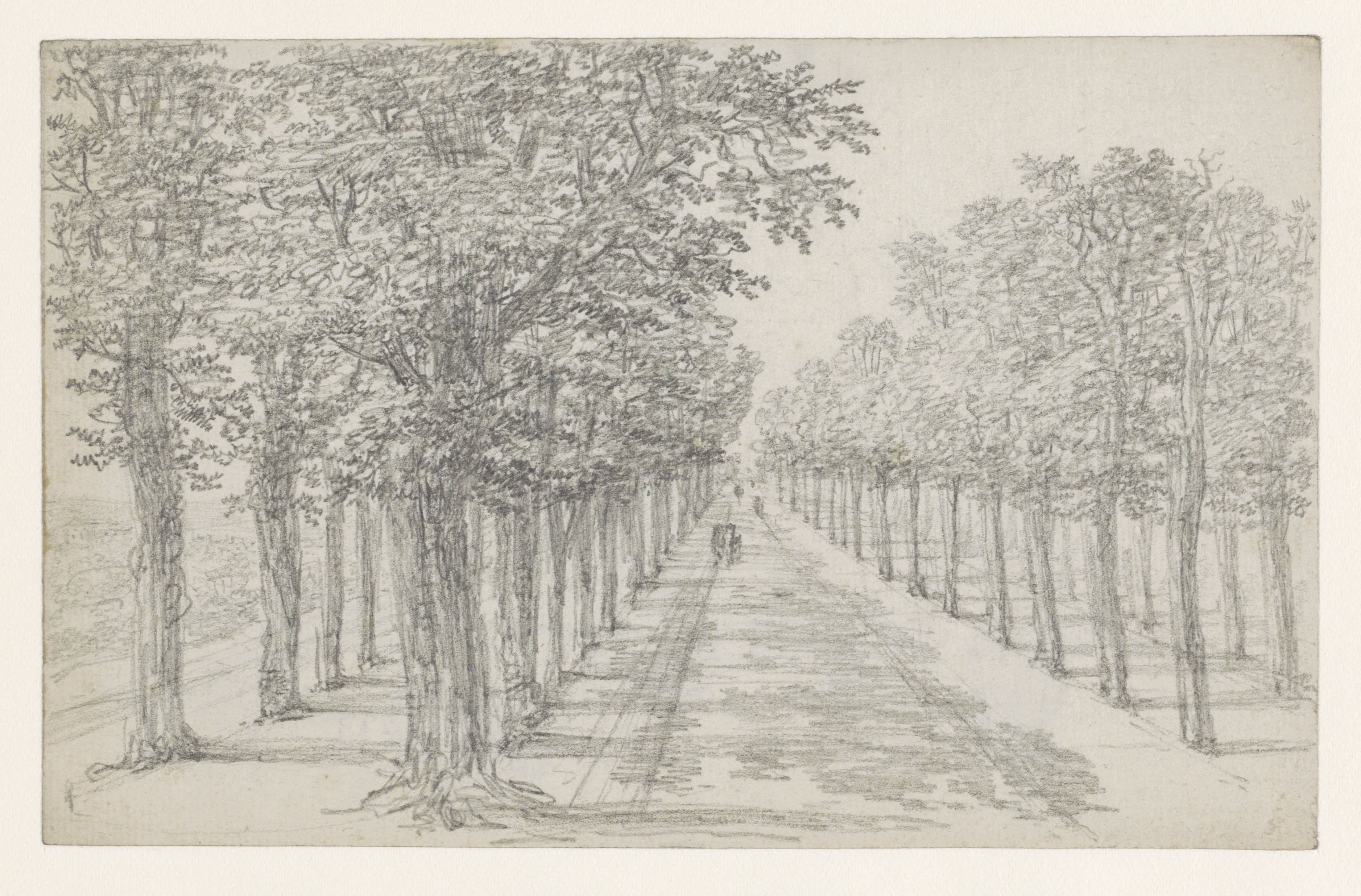 Straatweg met vier rijen bomen