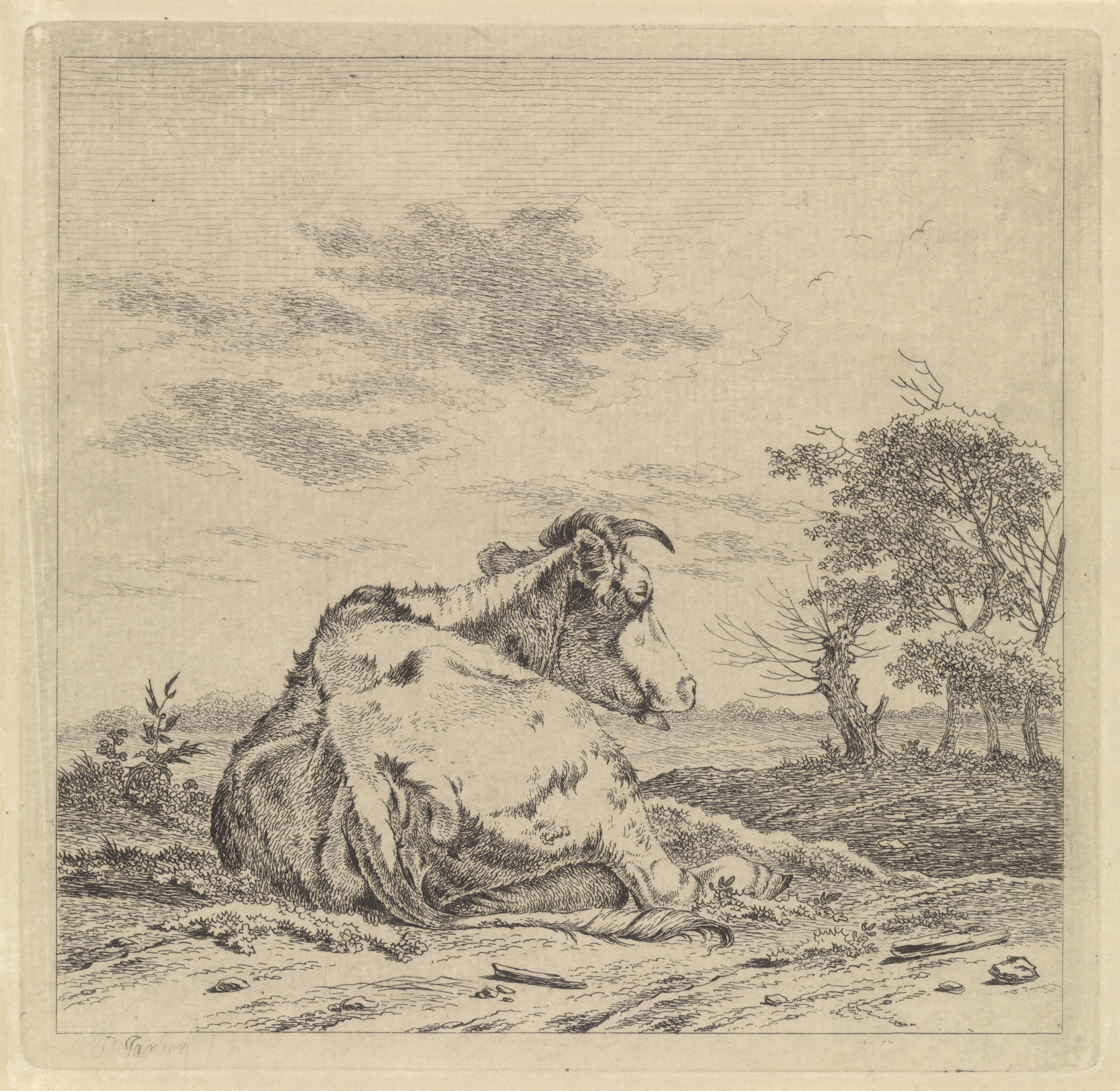 Landschap met liggende koe