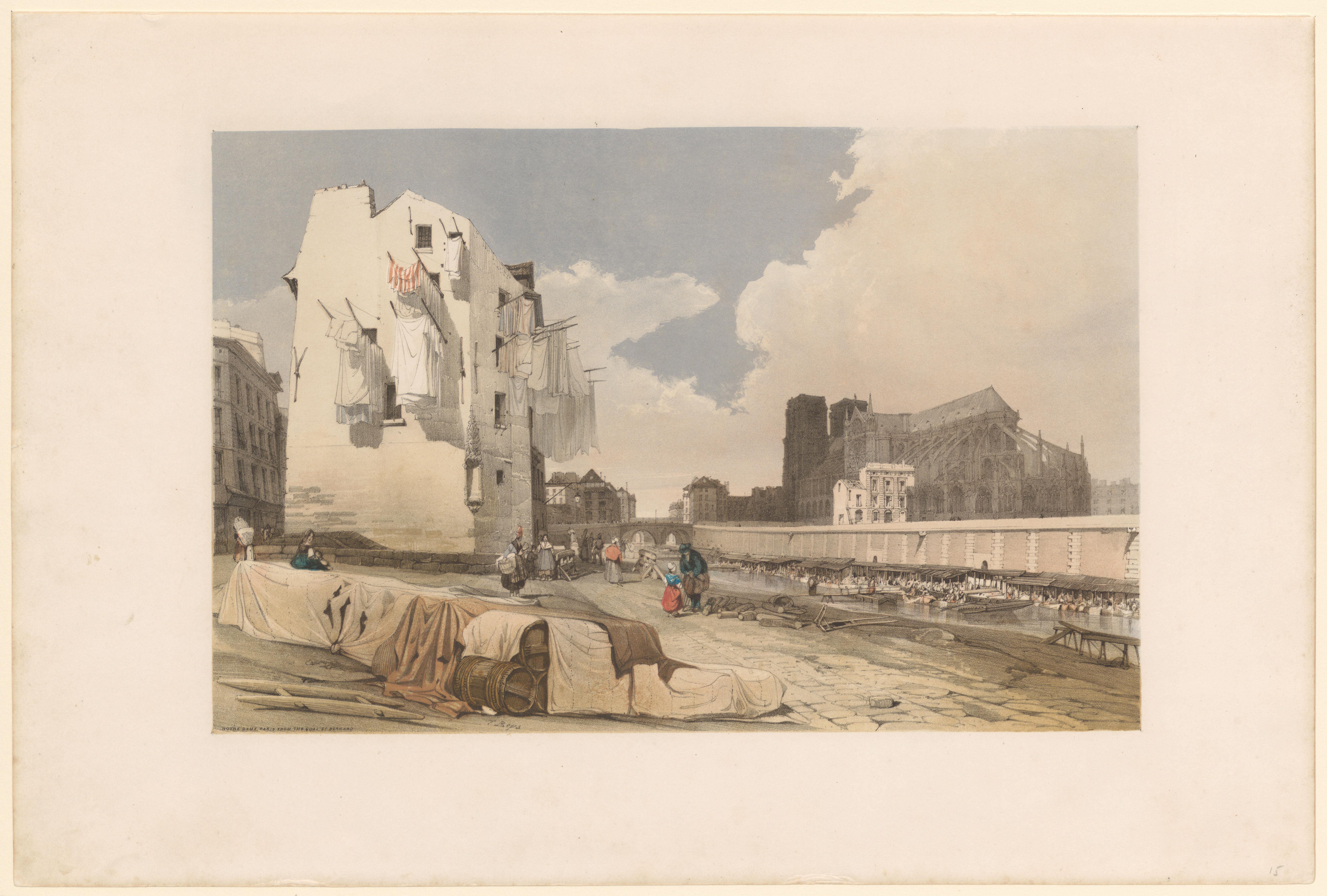 Gezicht op de Notre Dame vanaf de Saint-Bernard kade gezien