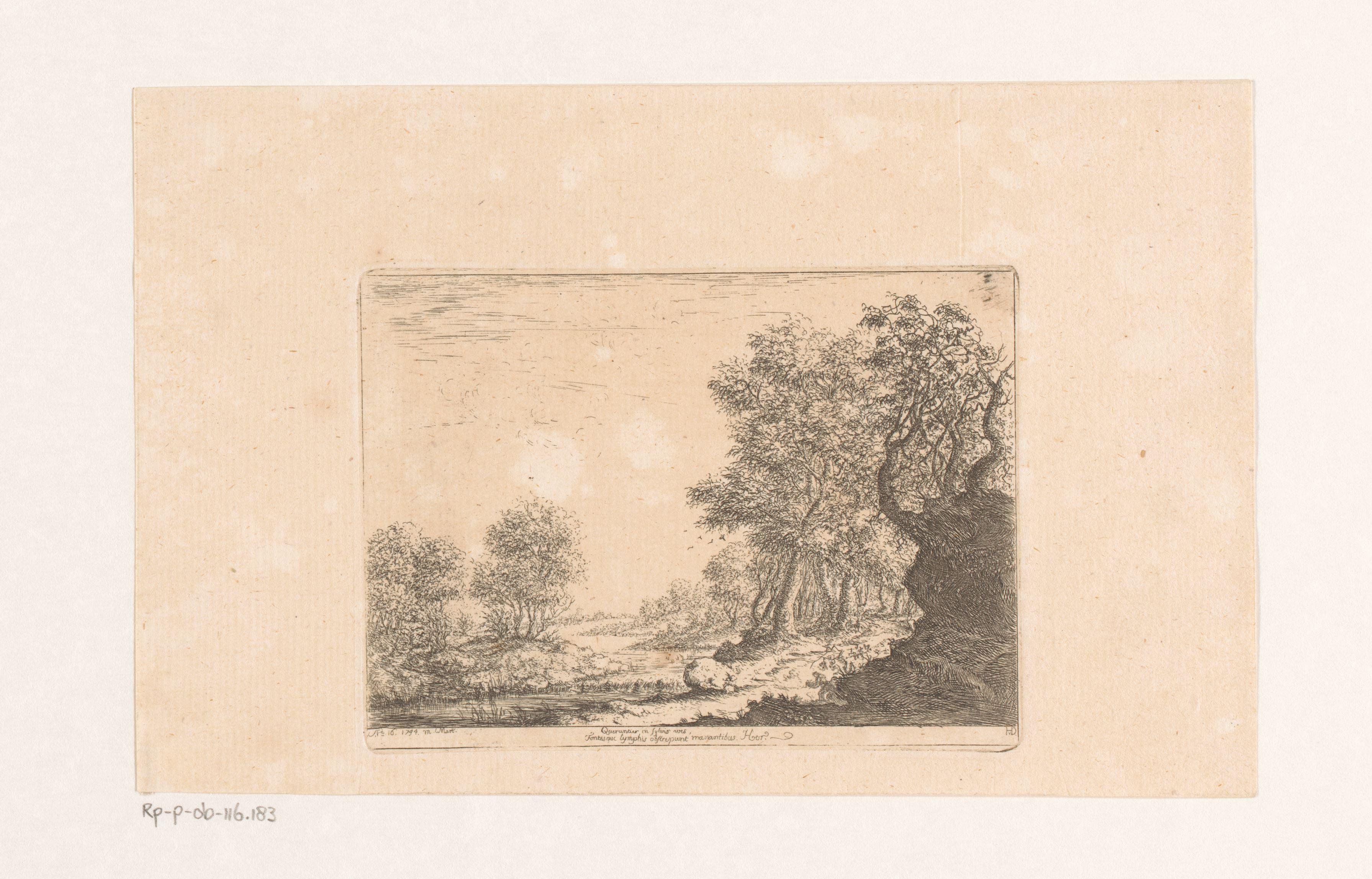Rivierlandschap met bomen
