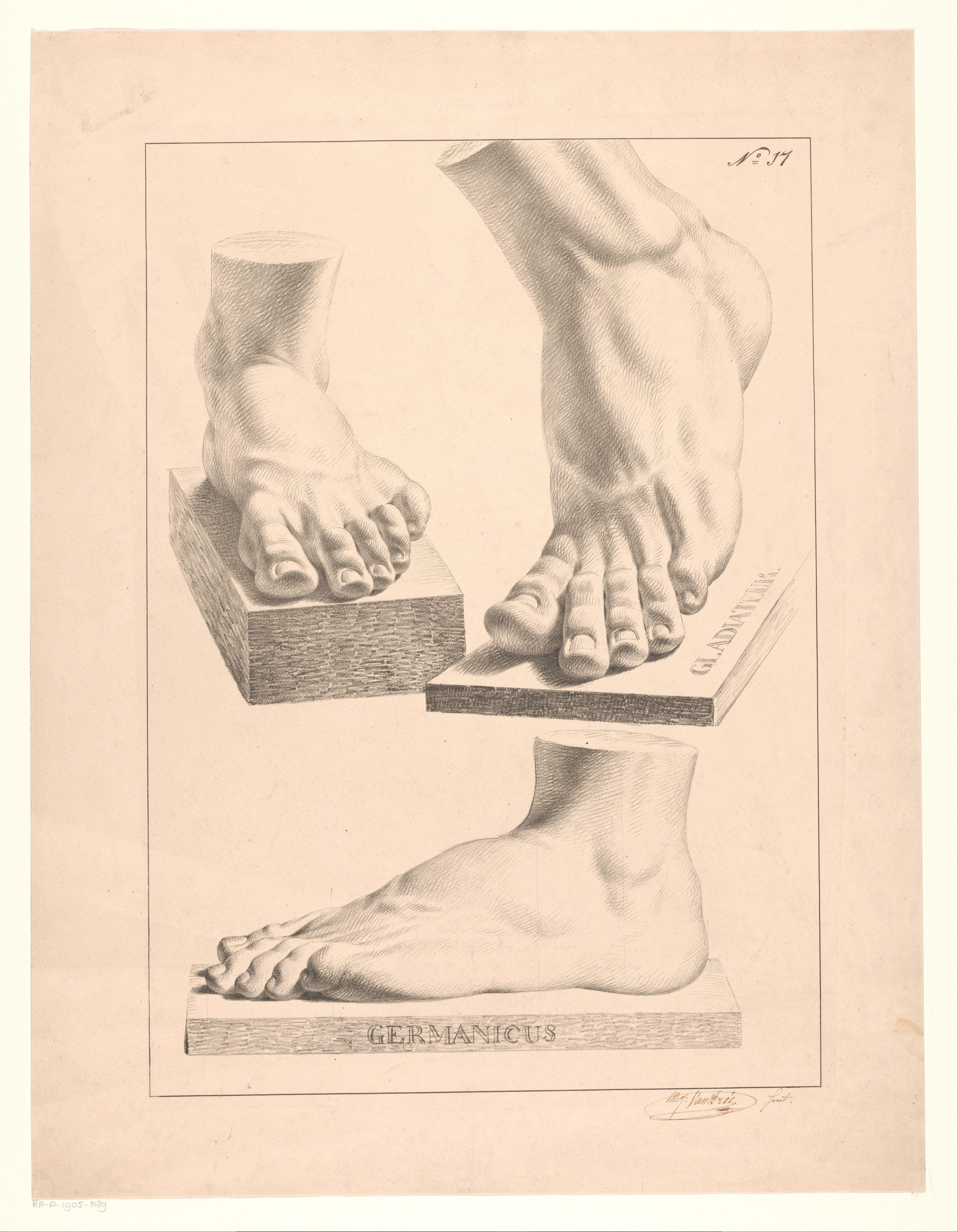 Studies van voeten