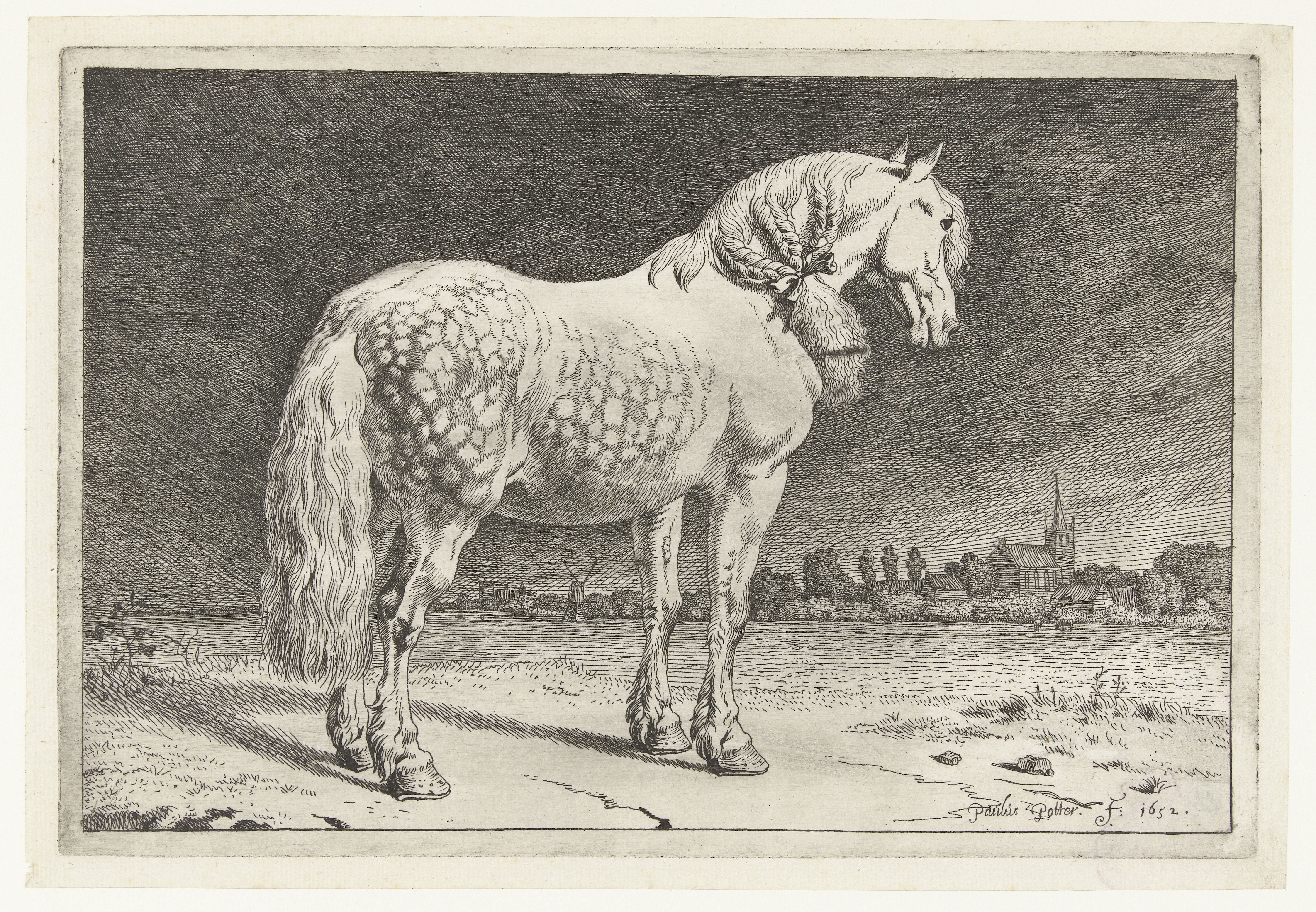 Het Friese paard