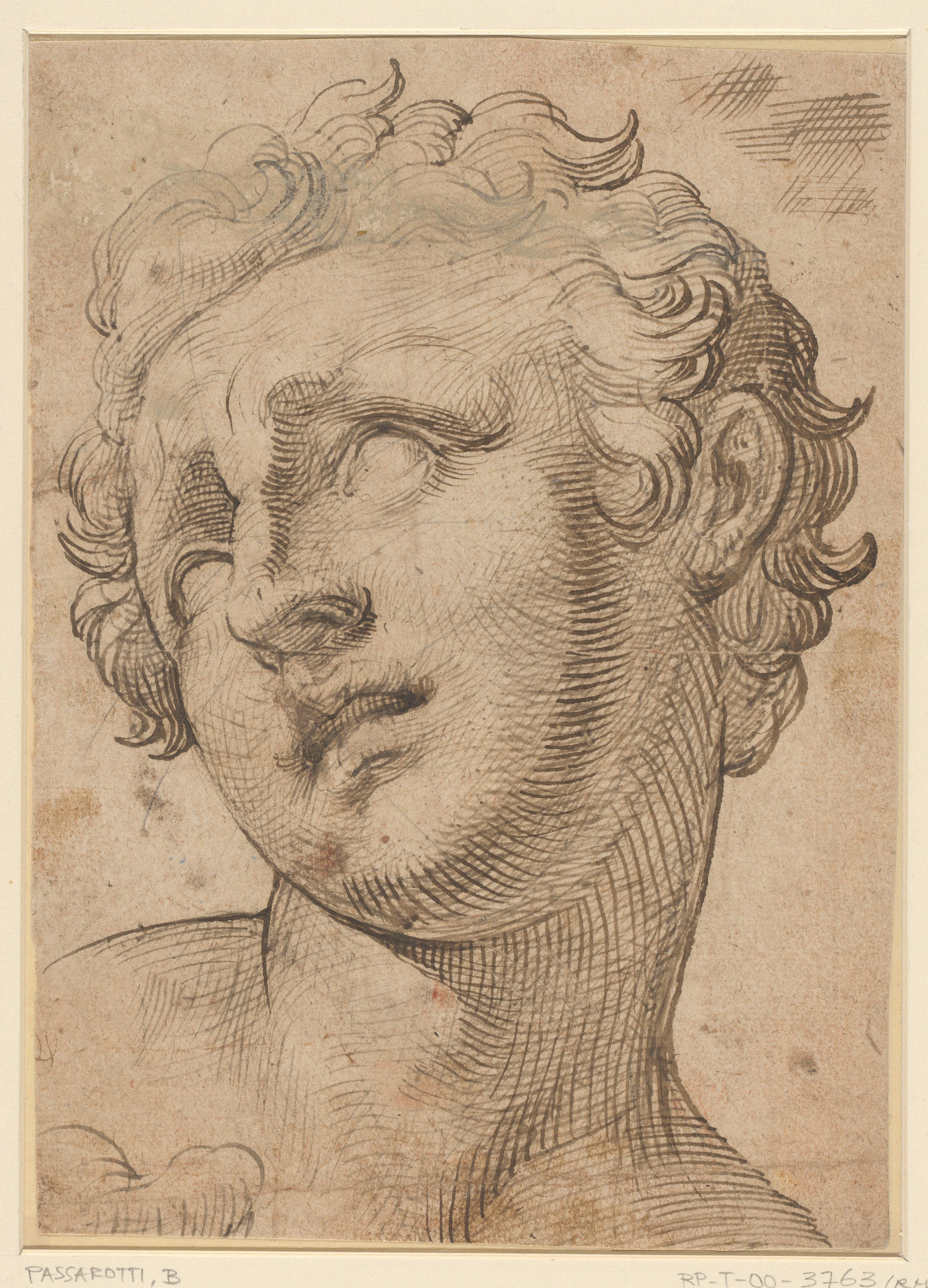 Hoofd van een zoon van Laocoön