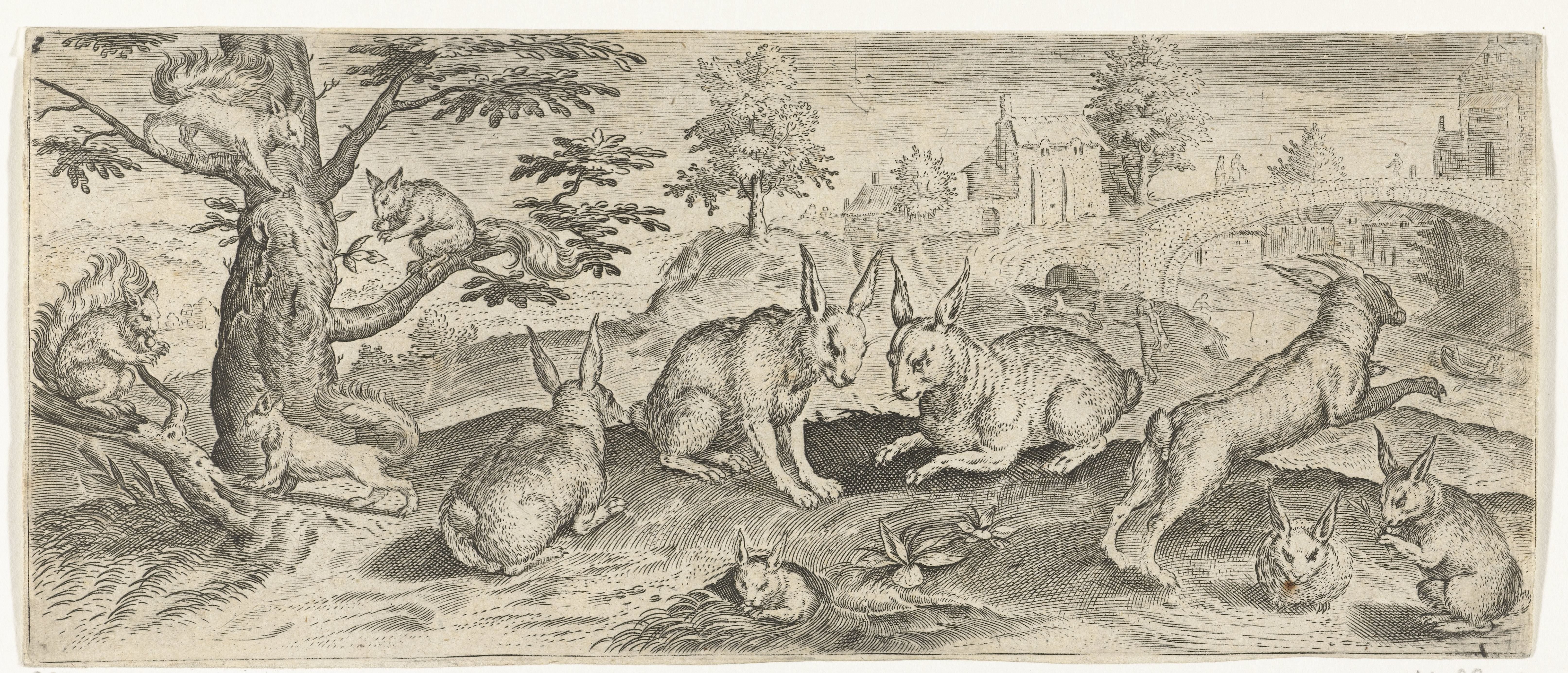 Eekhoorns en konijnen
