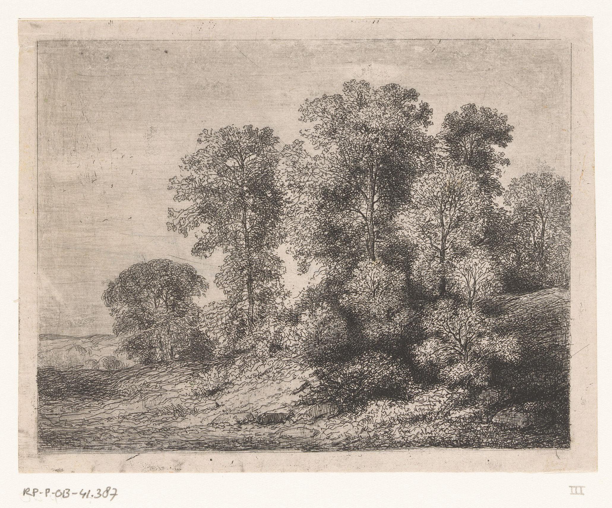 Bomen en struikgewas op een heuvel
