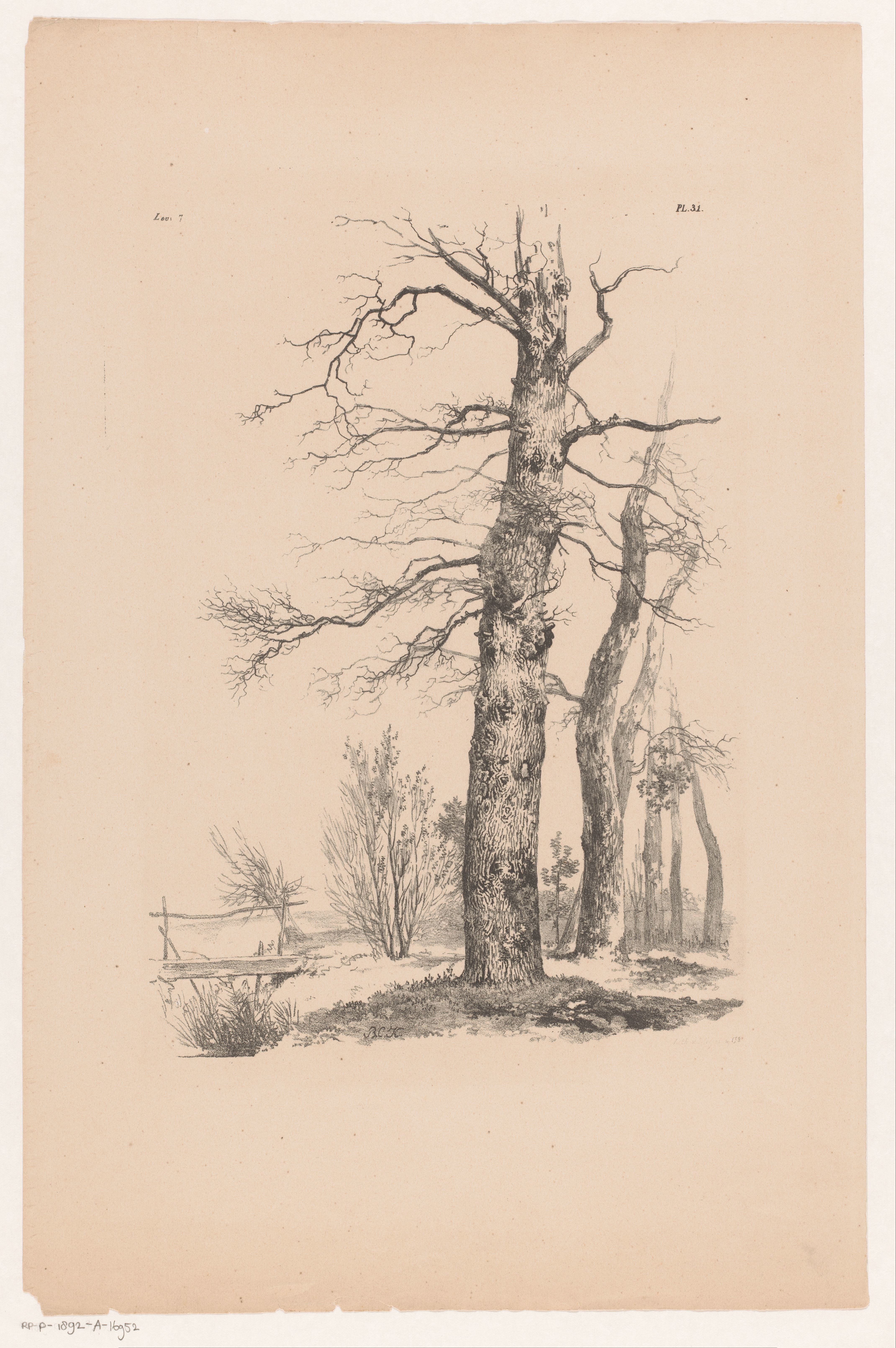 Bomen en brug in landschap