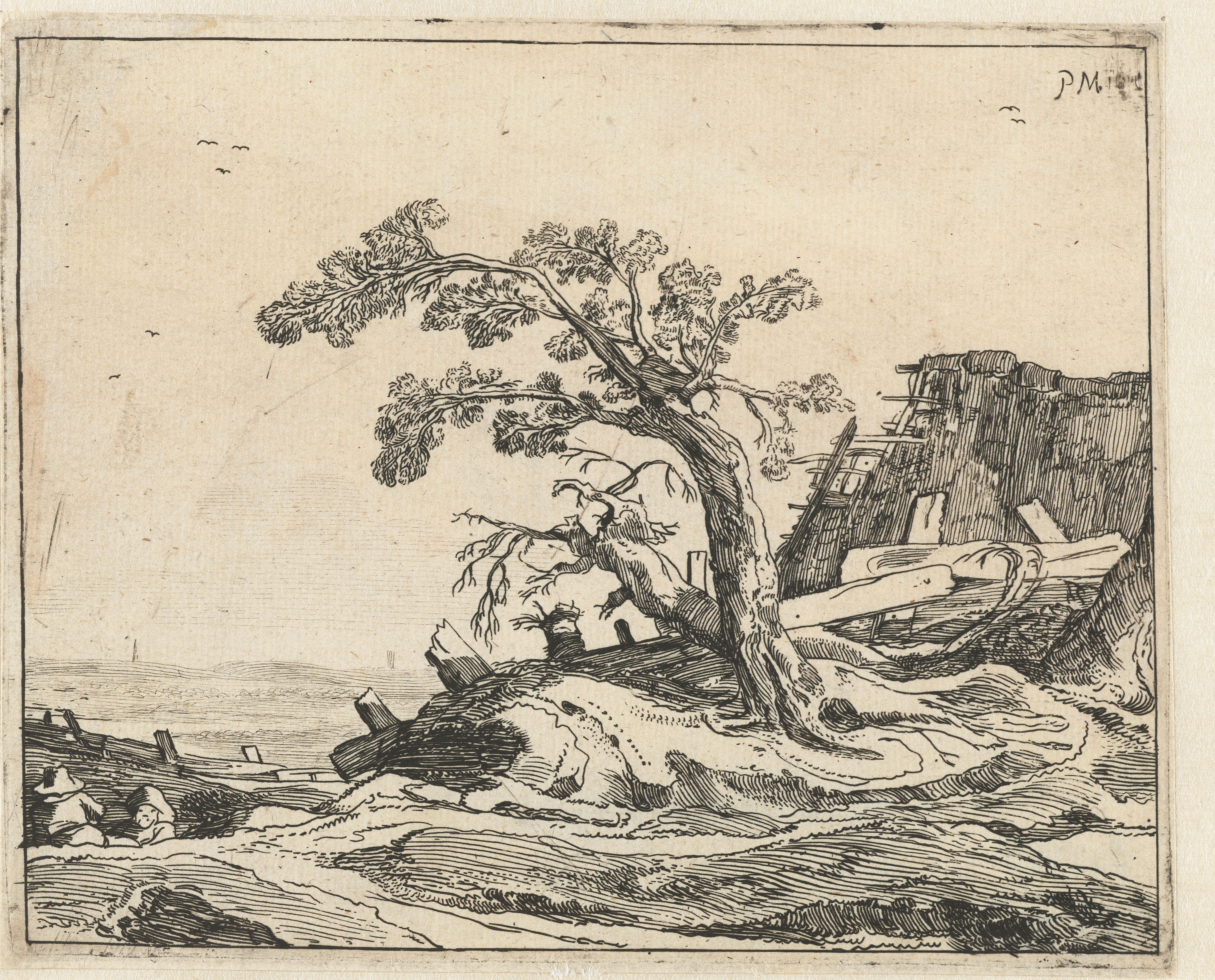 Landschap met boom