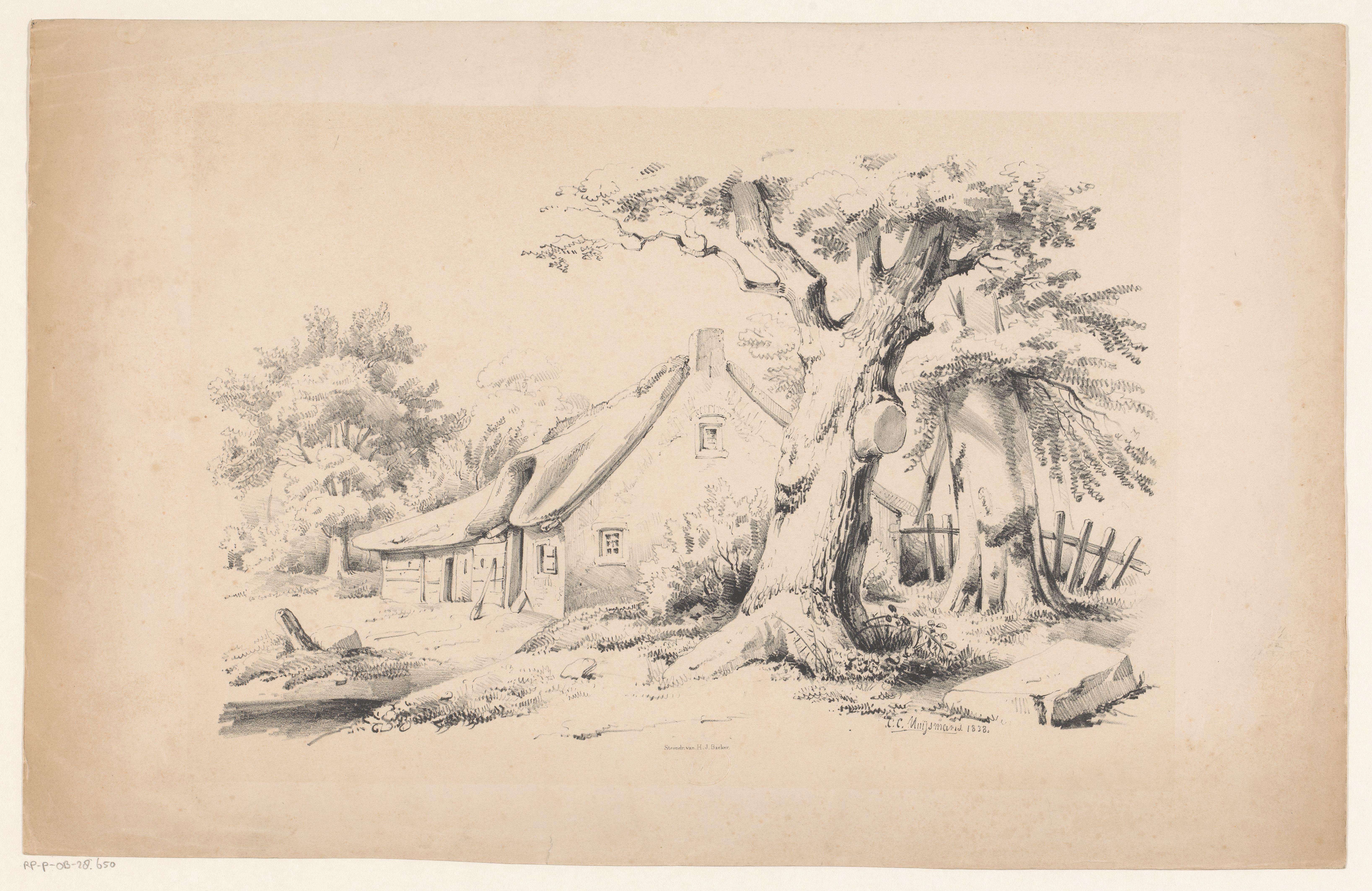 Boerderij en twee bomen