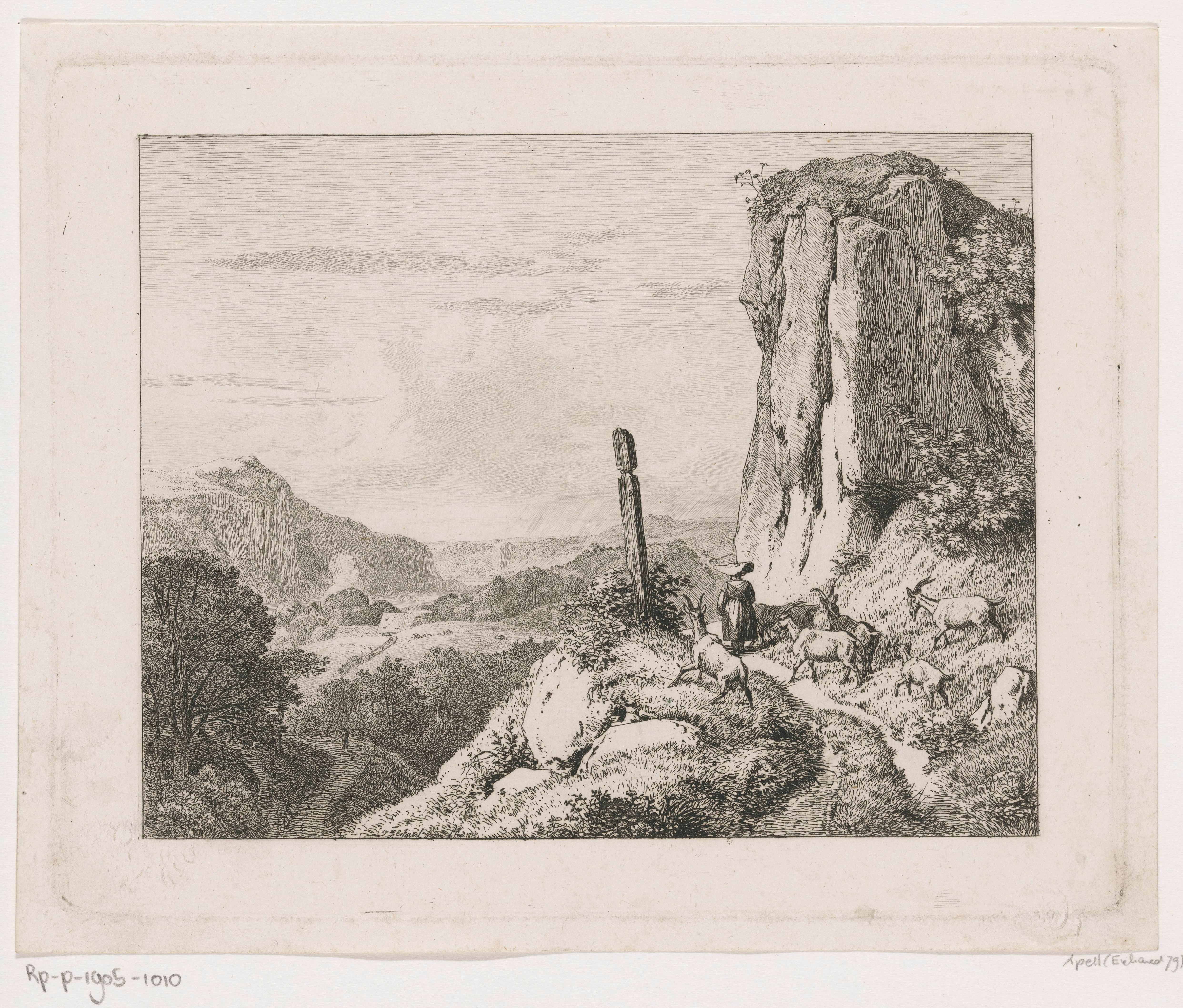 Vrouw met zes geiten in een berglandschap