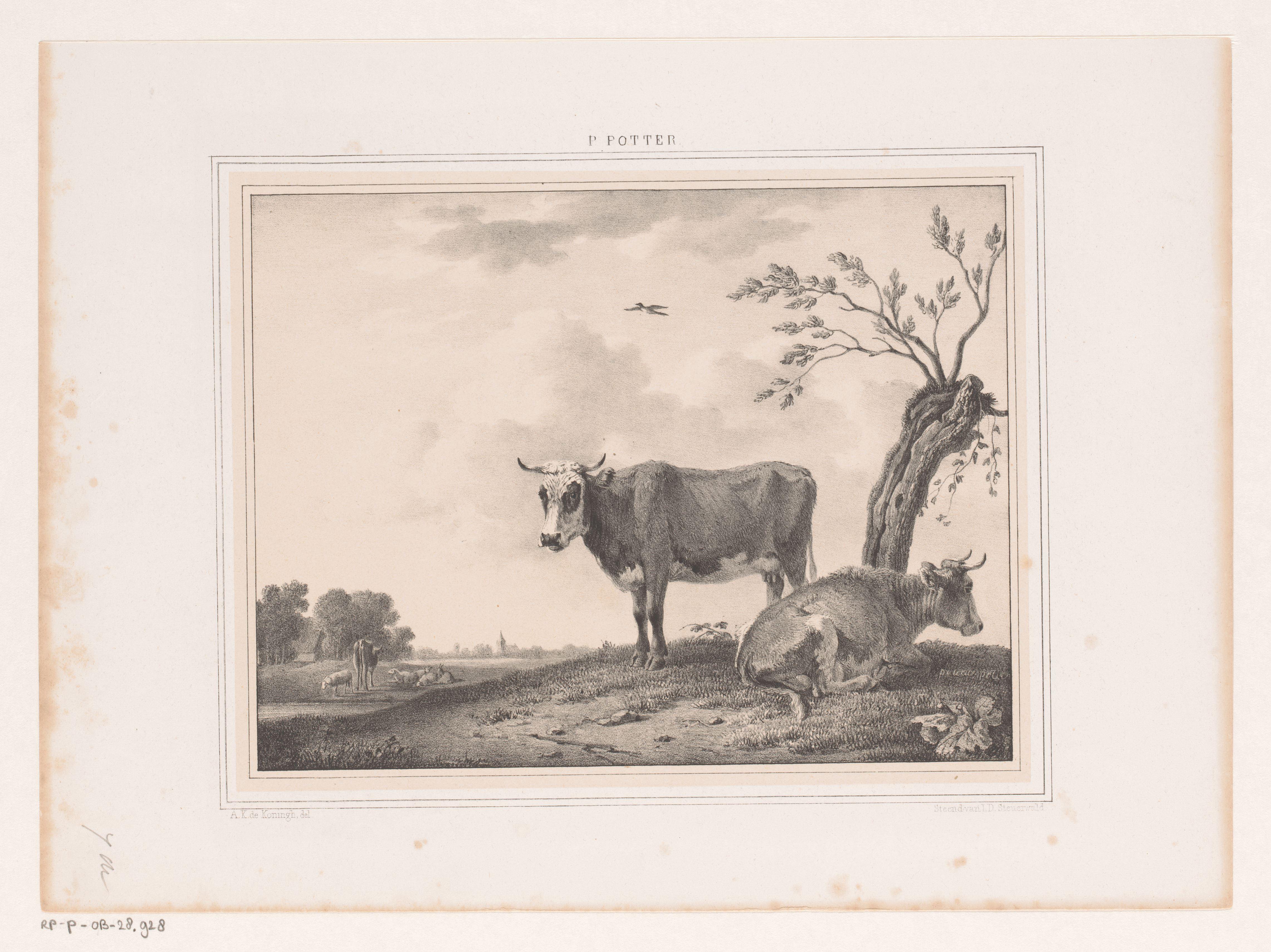 Landschap met stieren