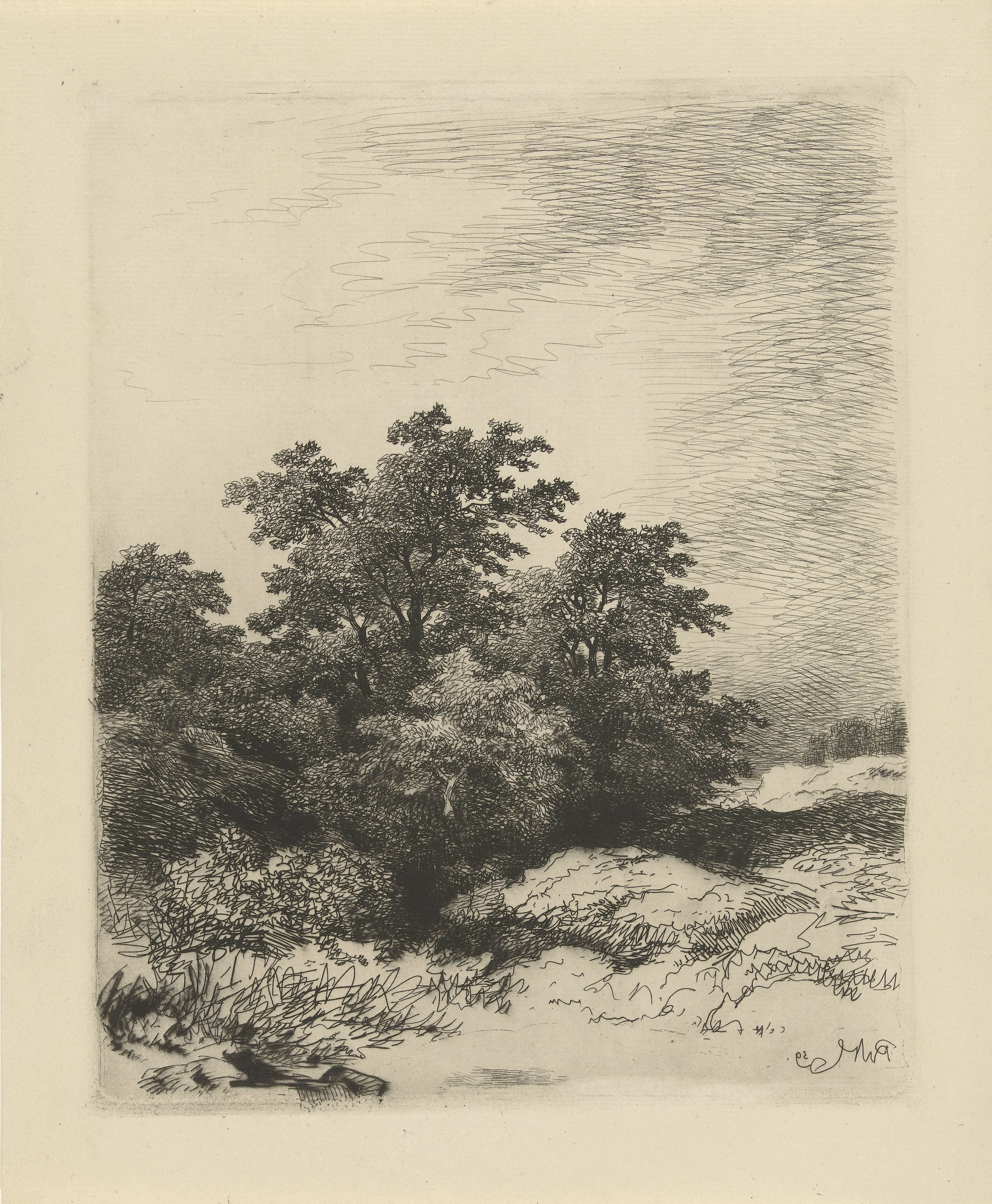 Landschap met bomen