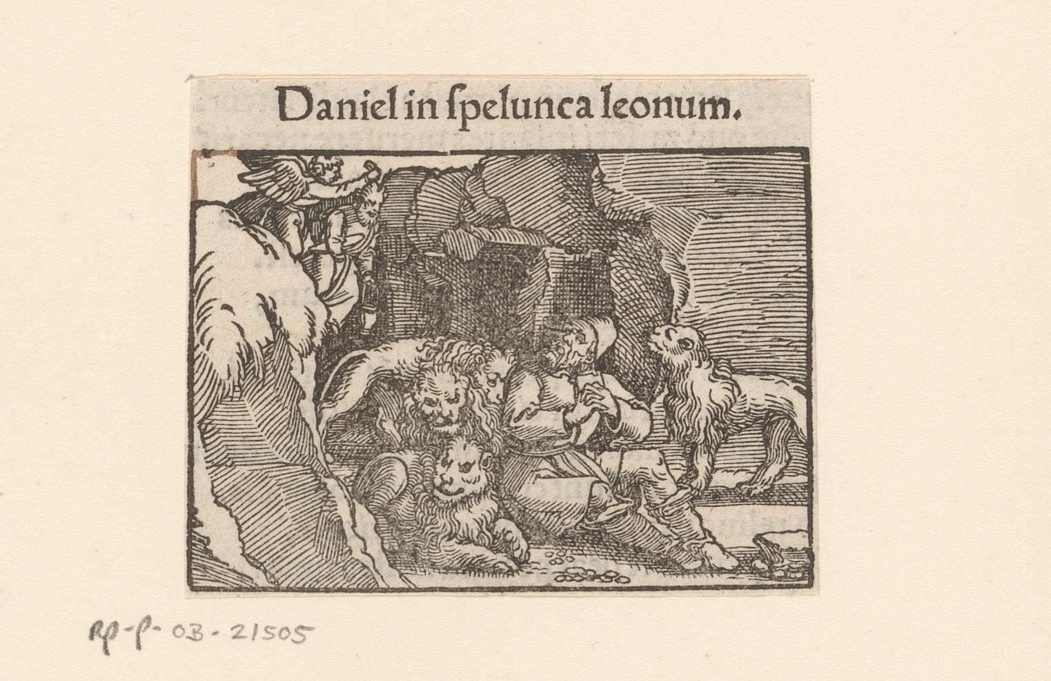 Daniël in de leeuwenkuil