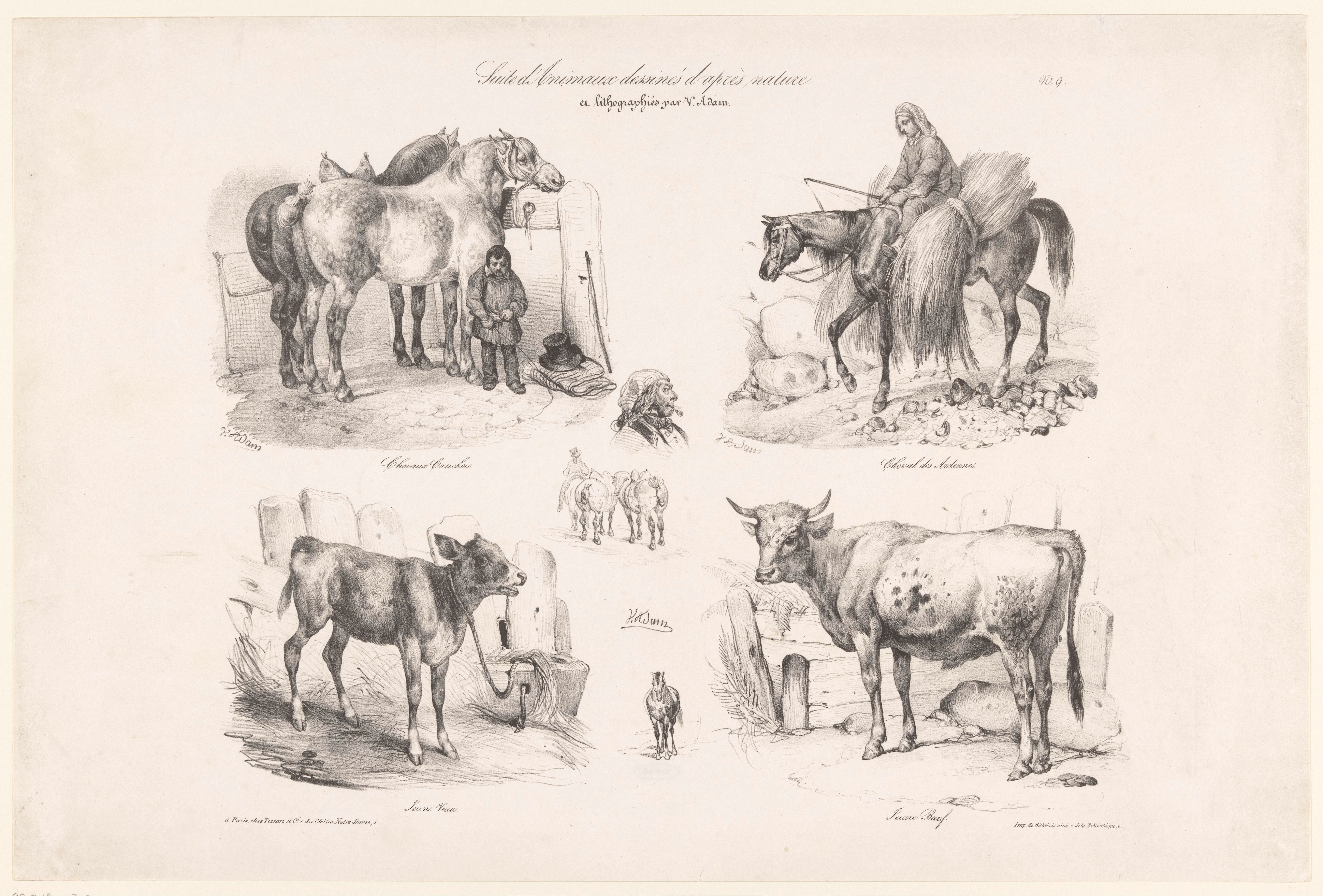 Vier voorstellingen van paarden en koeien