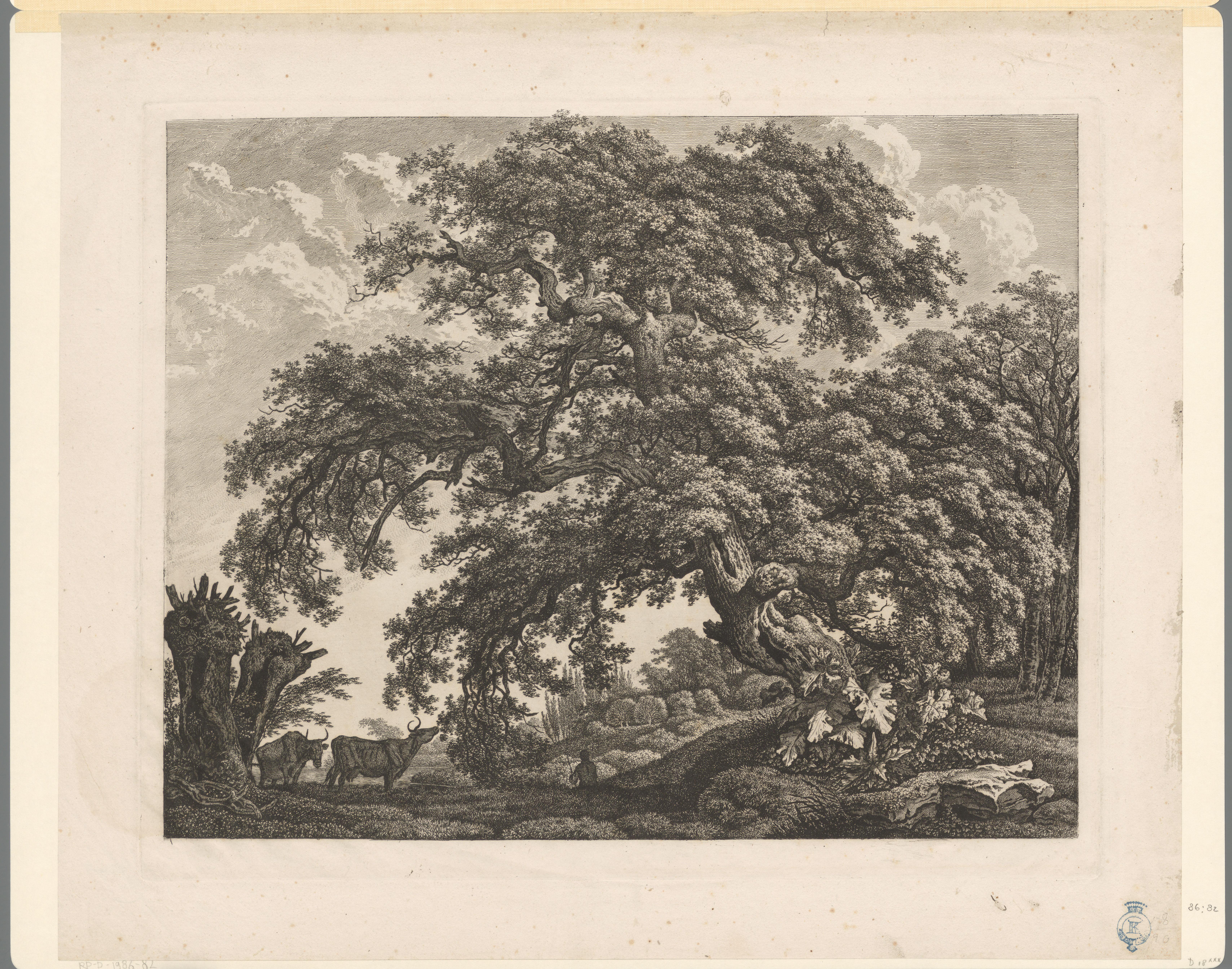 Landschap met twee koeien bij een grote eik
