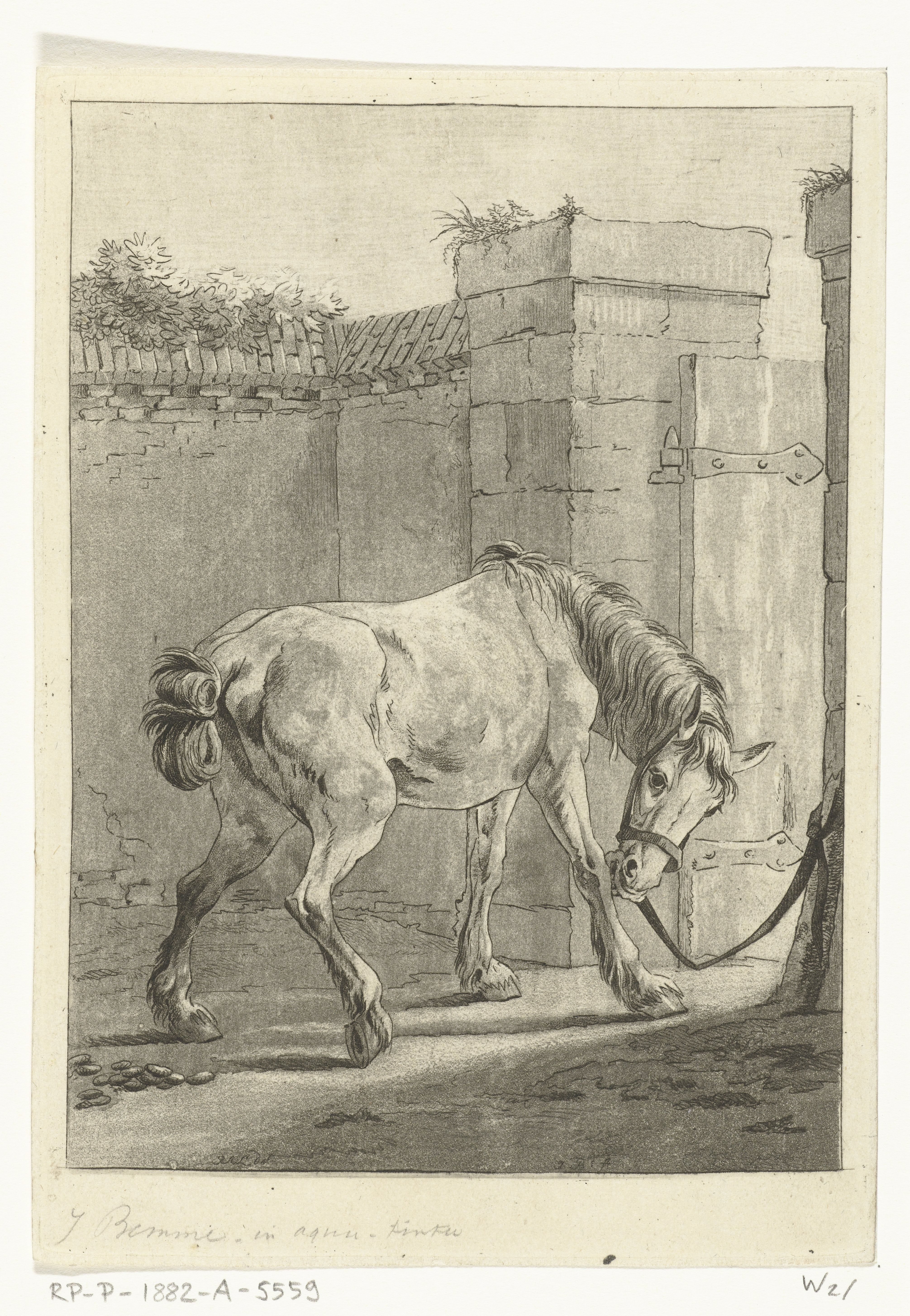 Een paard aan een paal vastgebonden