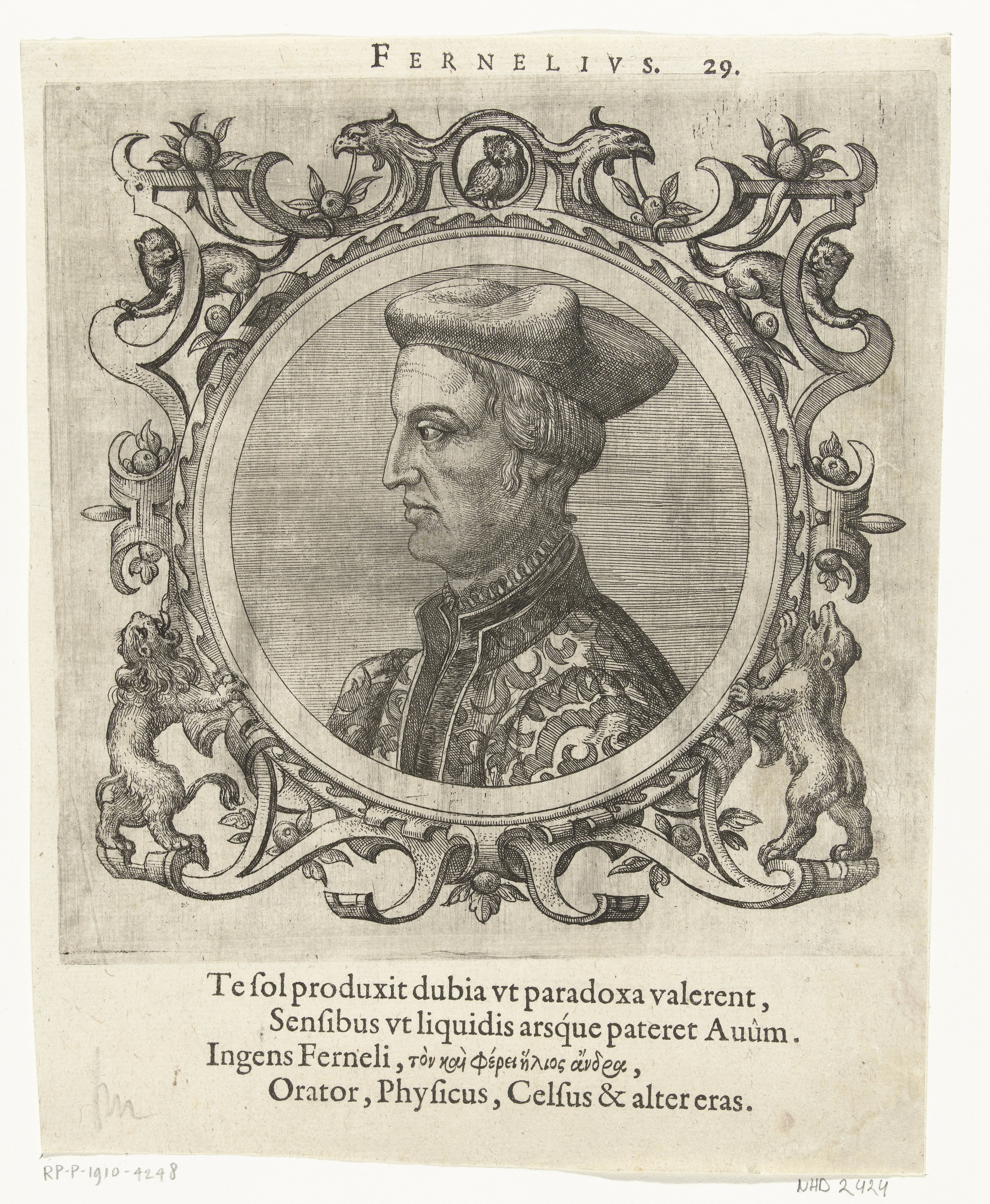Portret van Johannes Fernelius