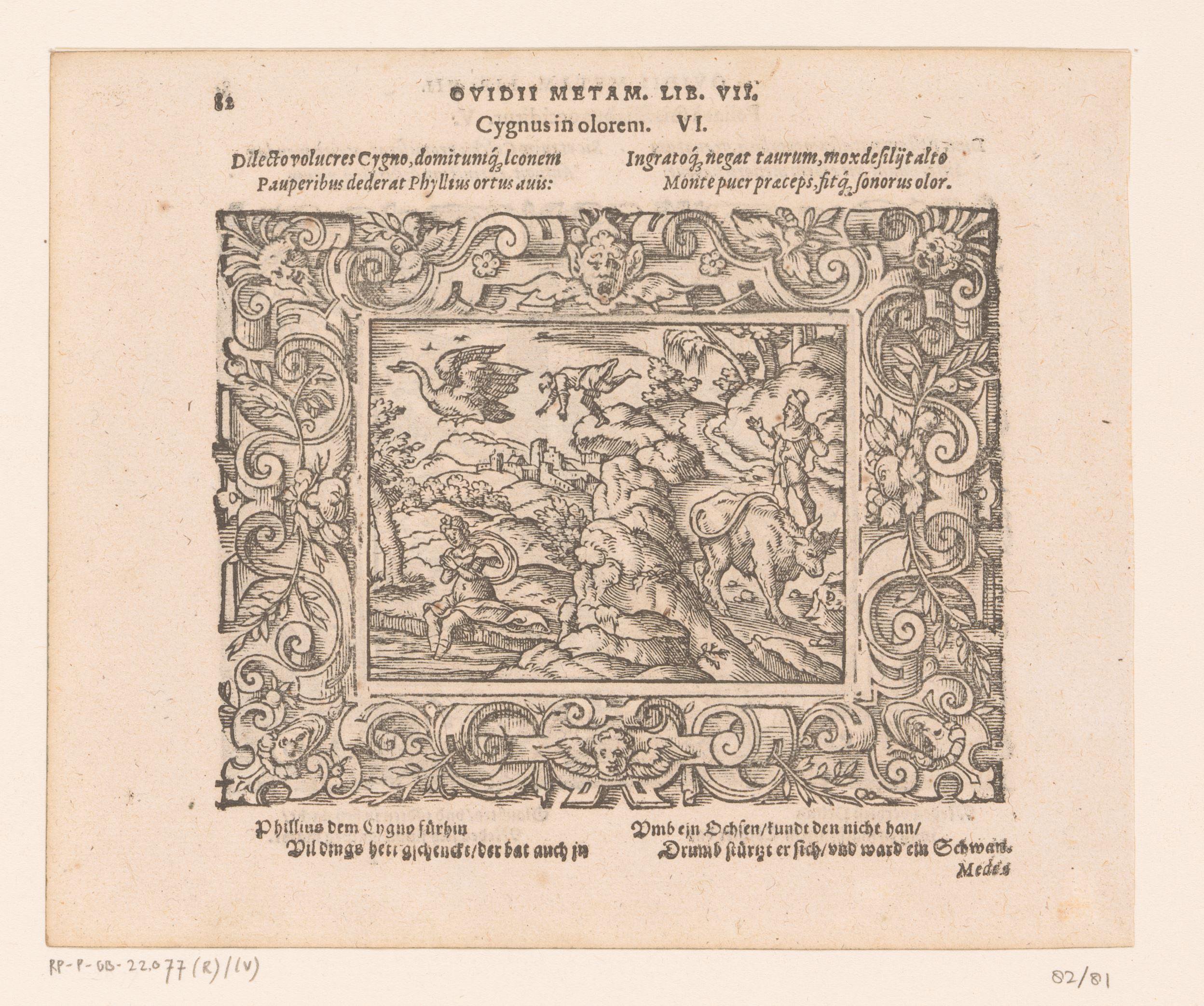 Cycnus en Phylius