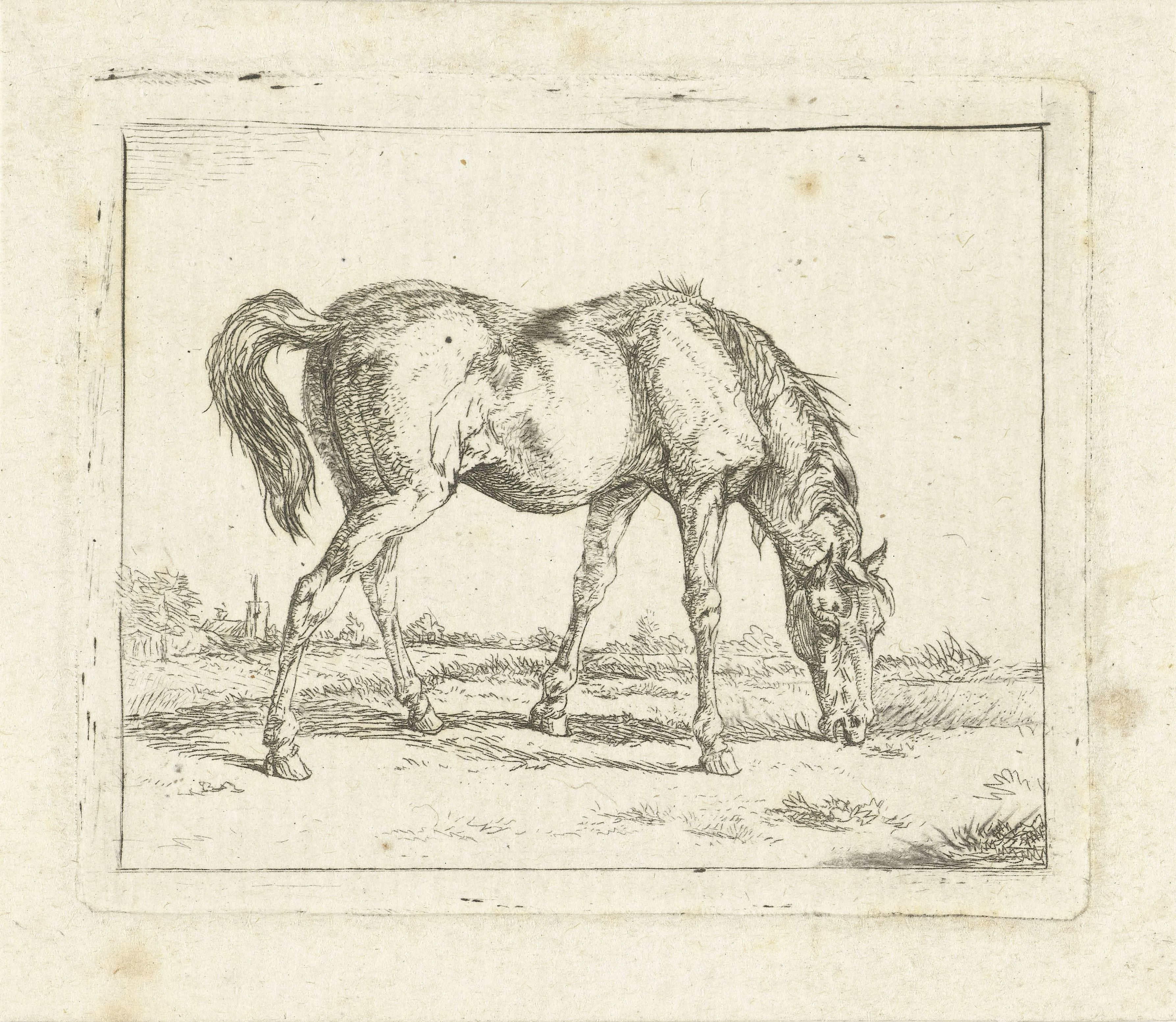 Grazend paard naar rechts