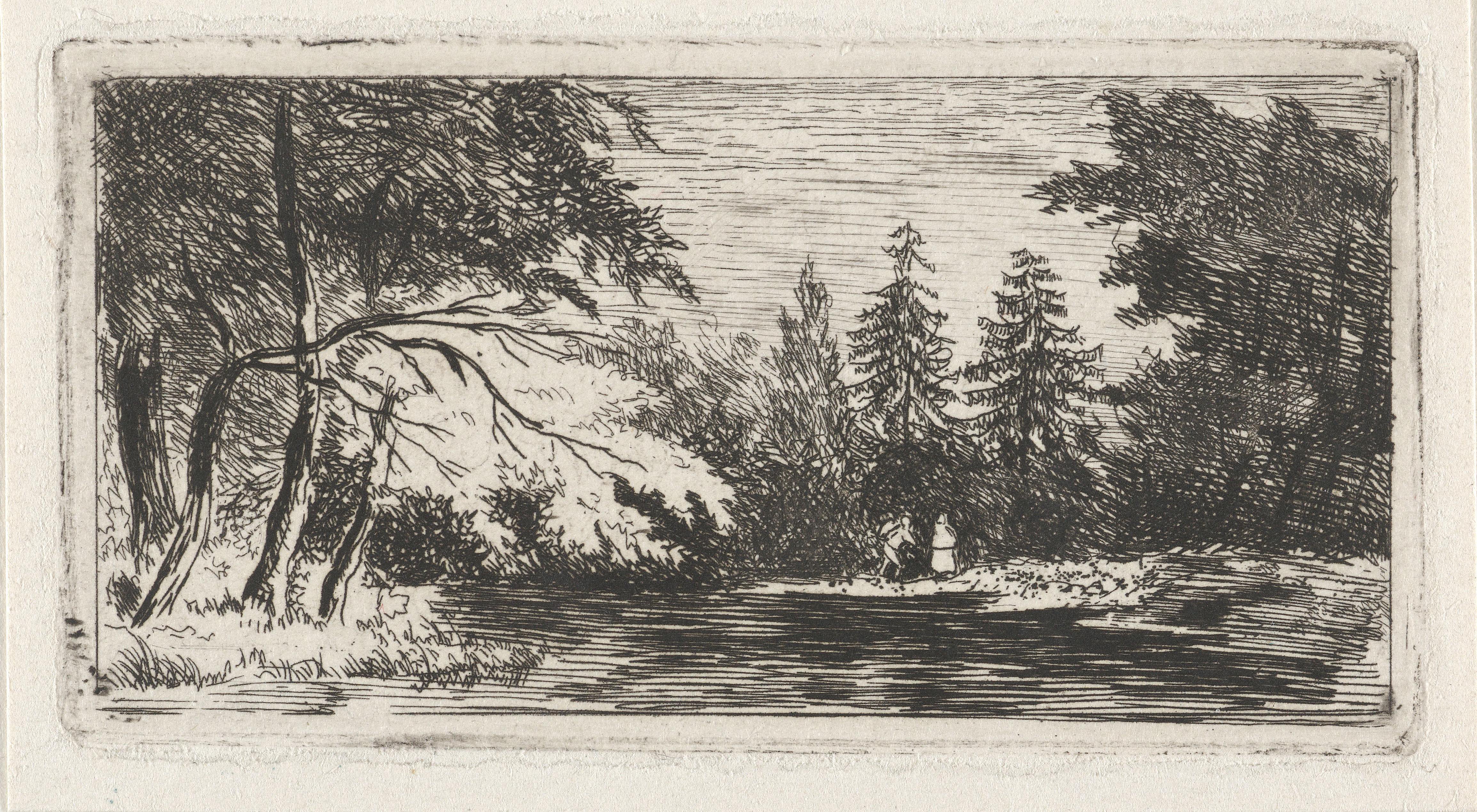 Boslandschap