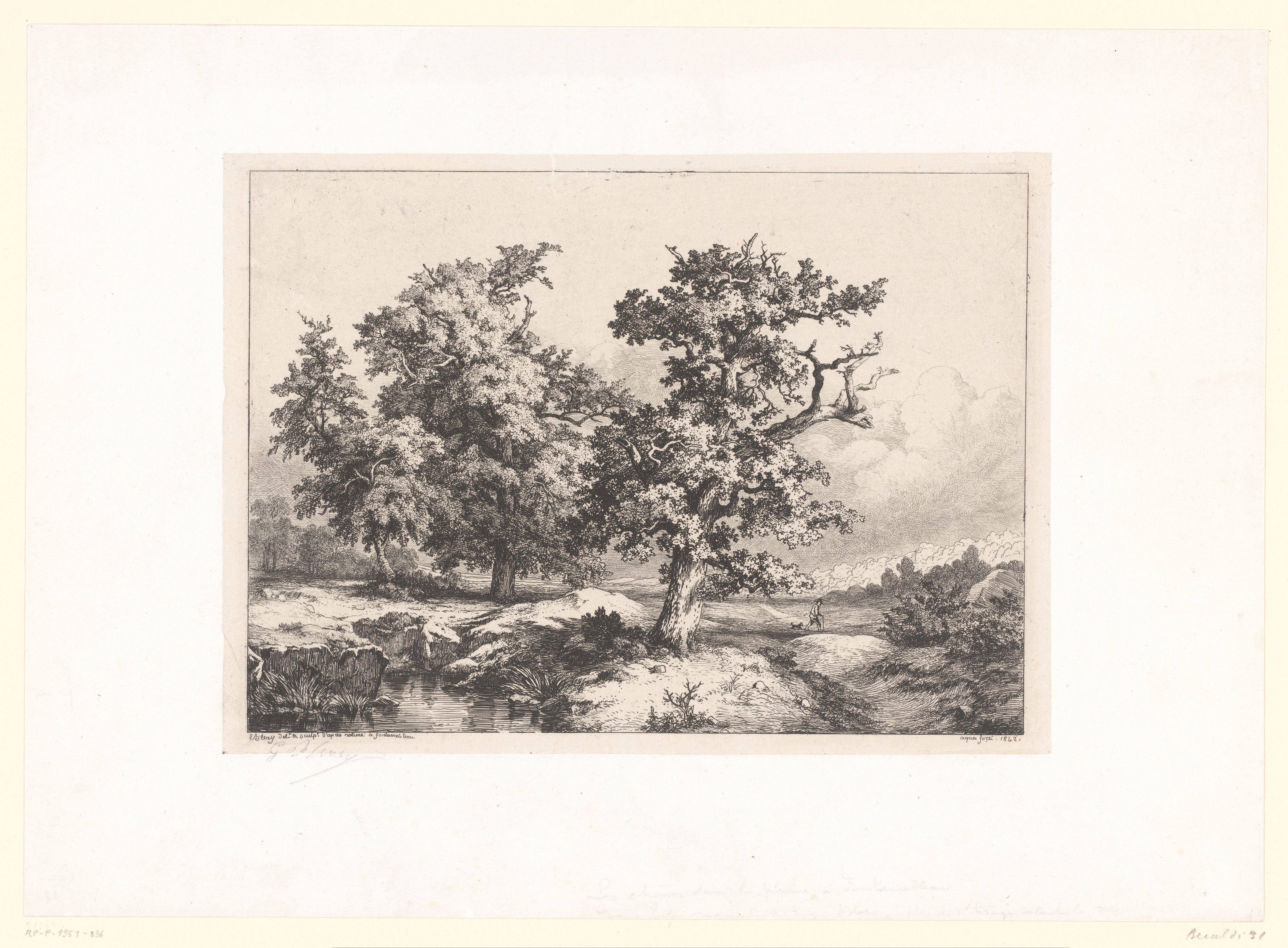 Landschap met eiken, wandelaar en hond