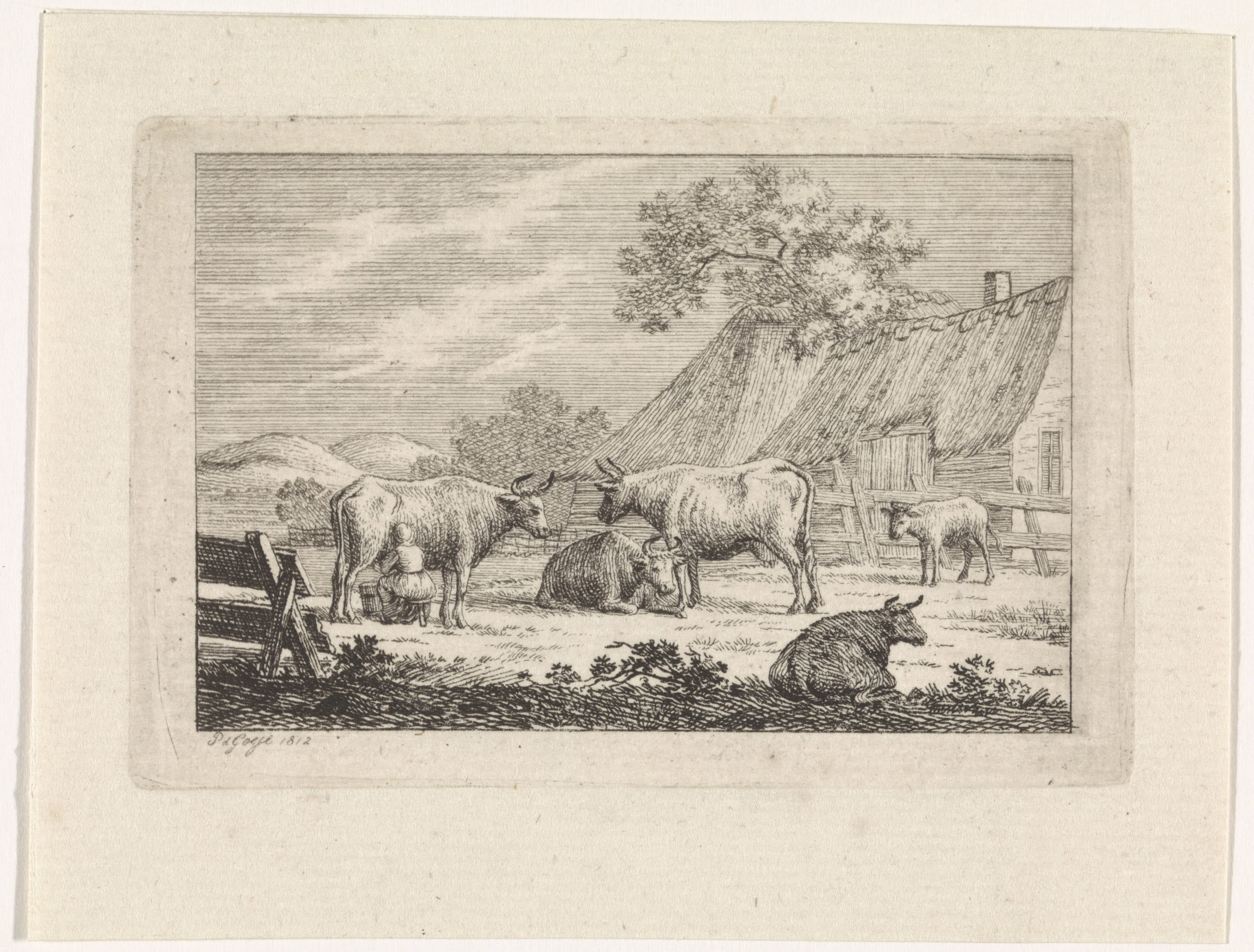 Boerenerf met koeien