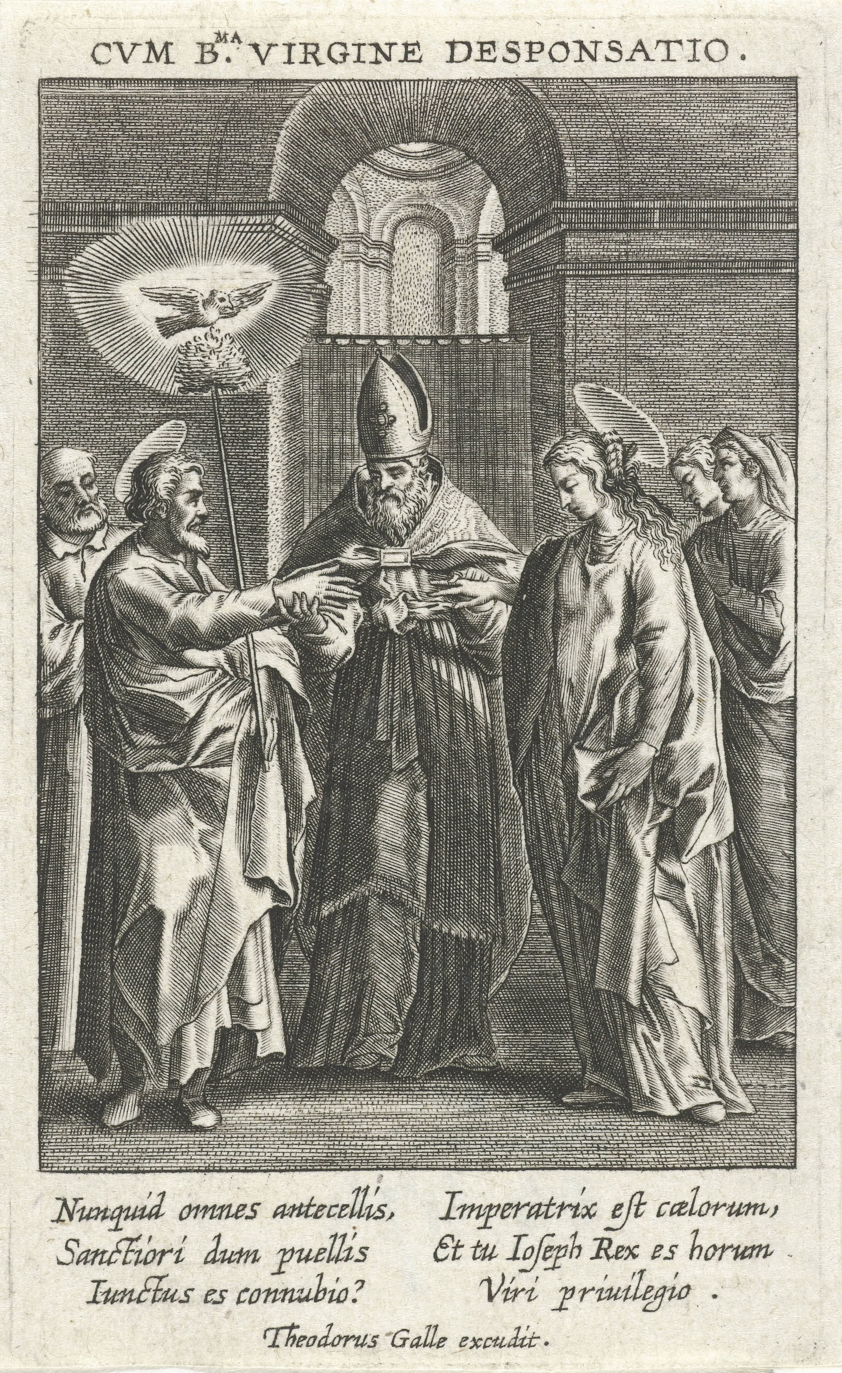 Jozefs roede in bloei