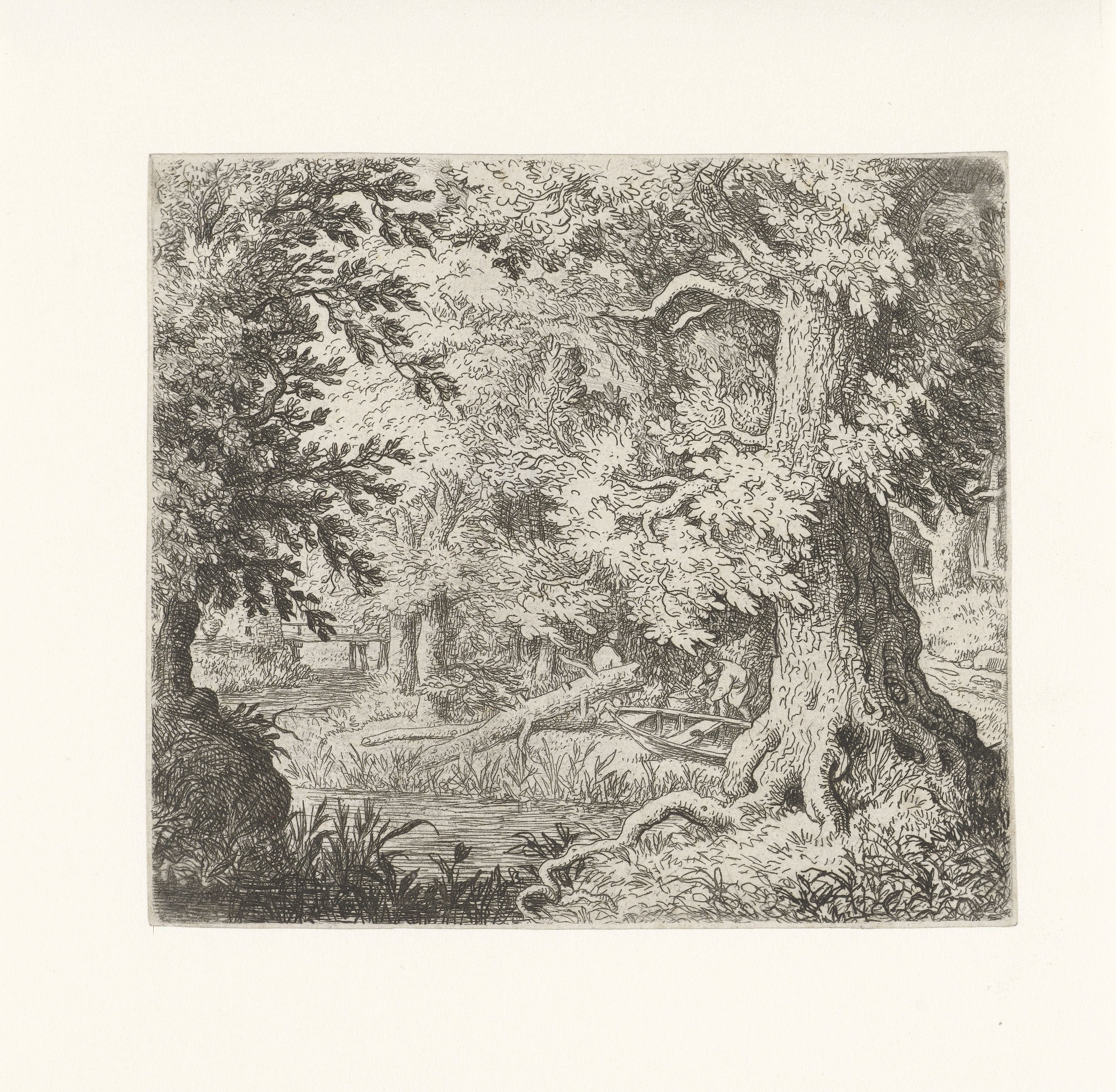 Beekje in het bos