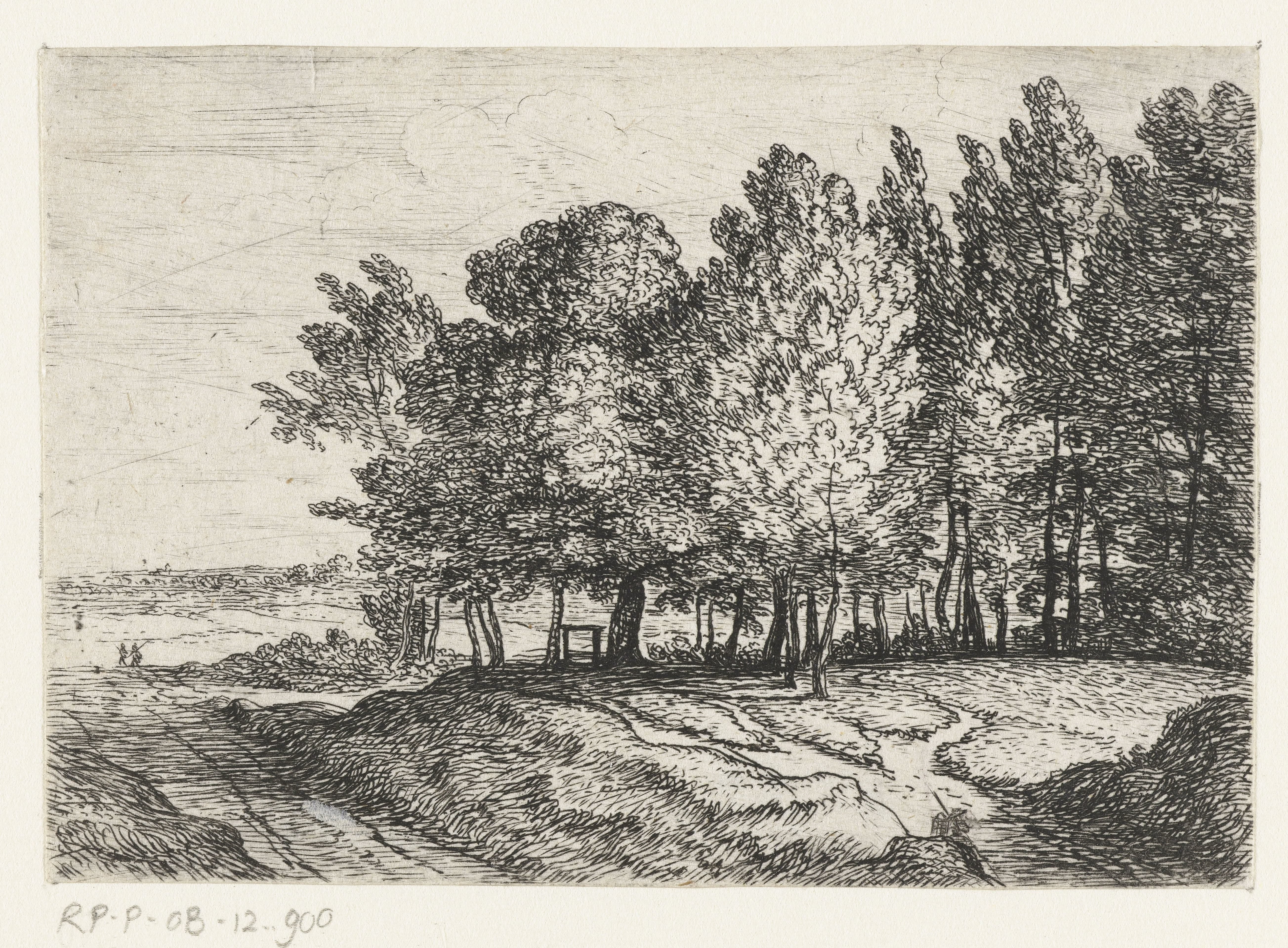 Bomen bij een pad