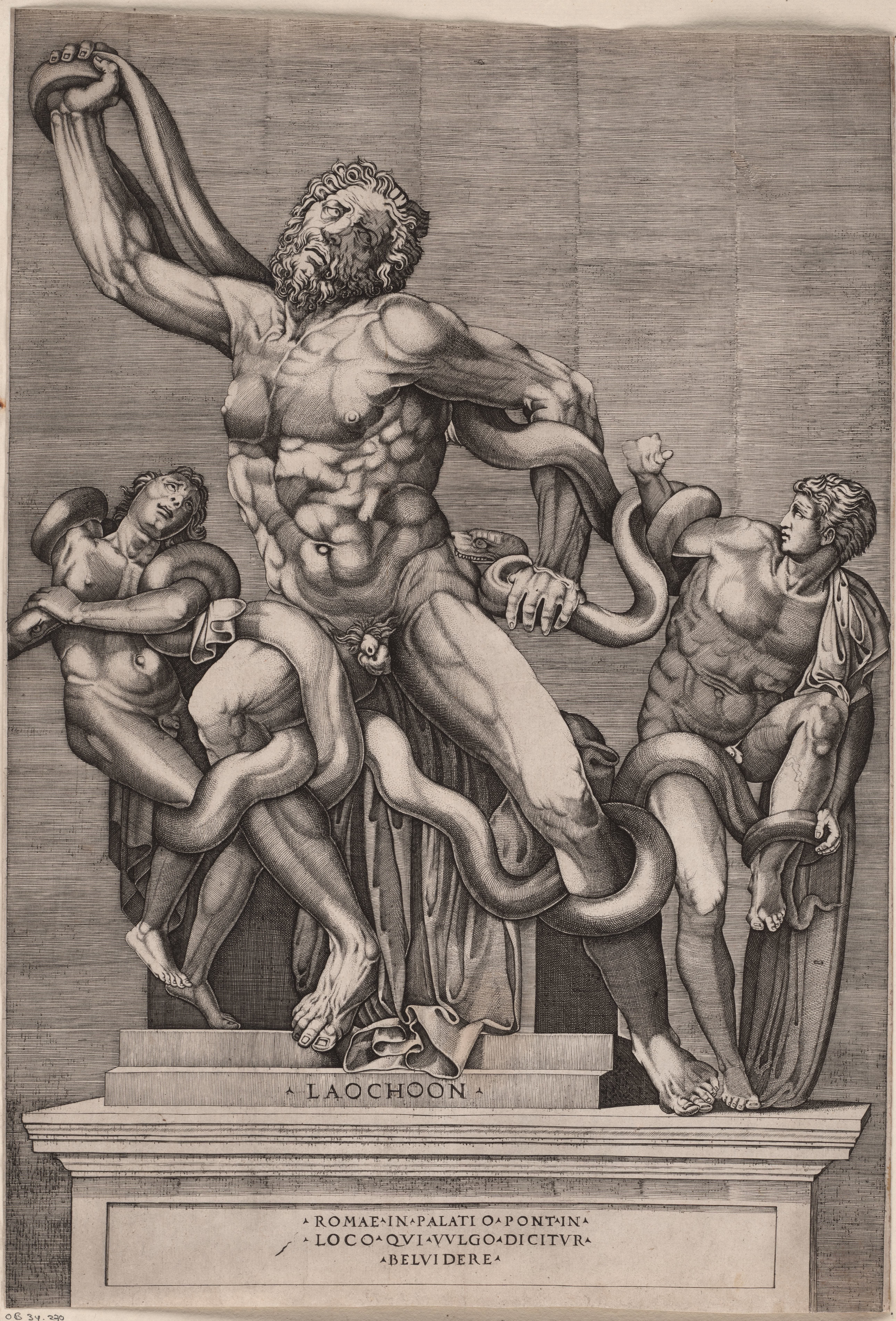 Laocoöngroep