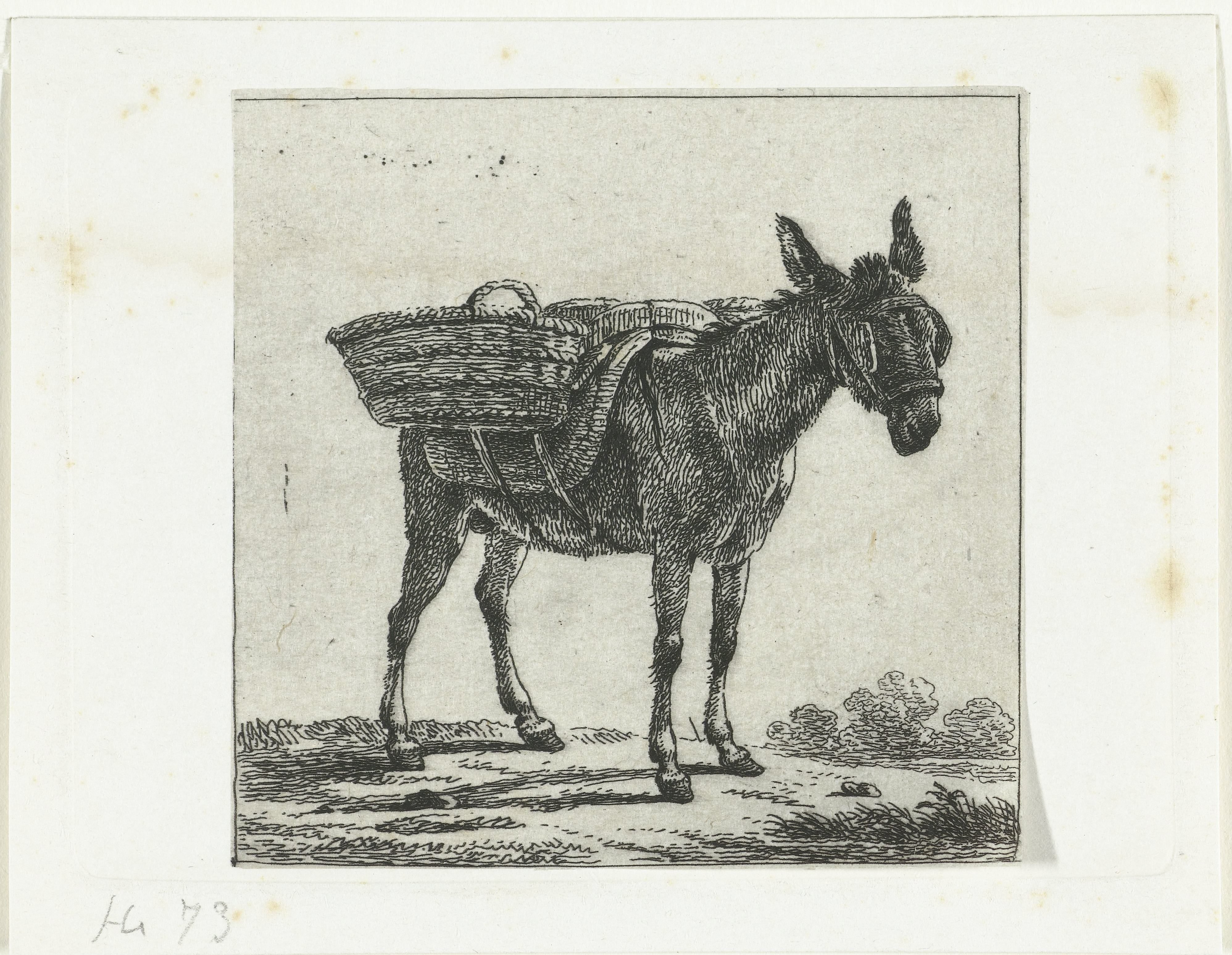 Gezadelde ezel met oogkleppen
