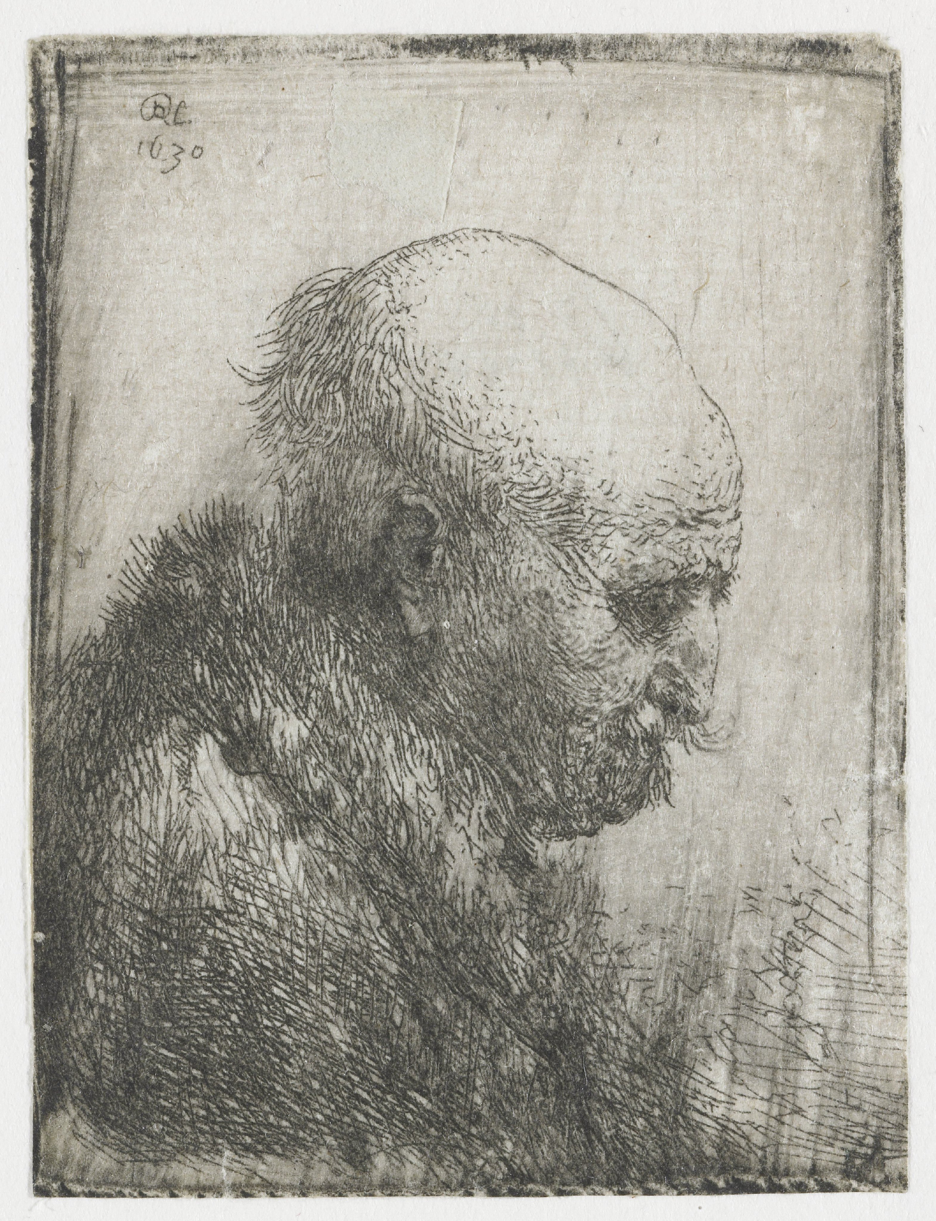 Bald-headed Man in Profile