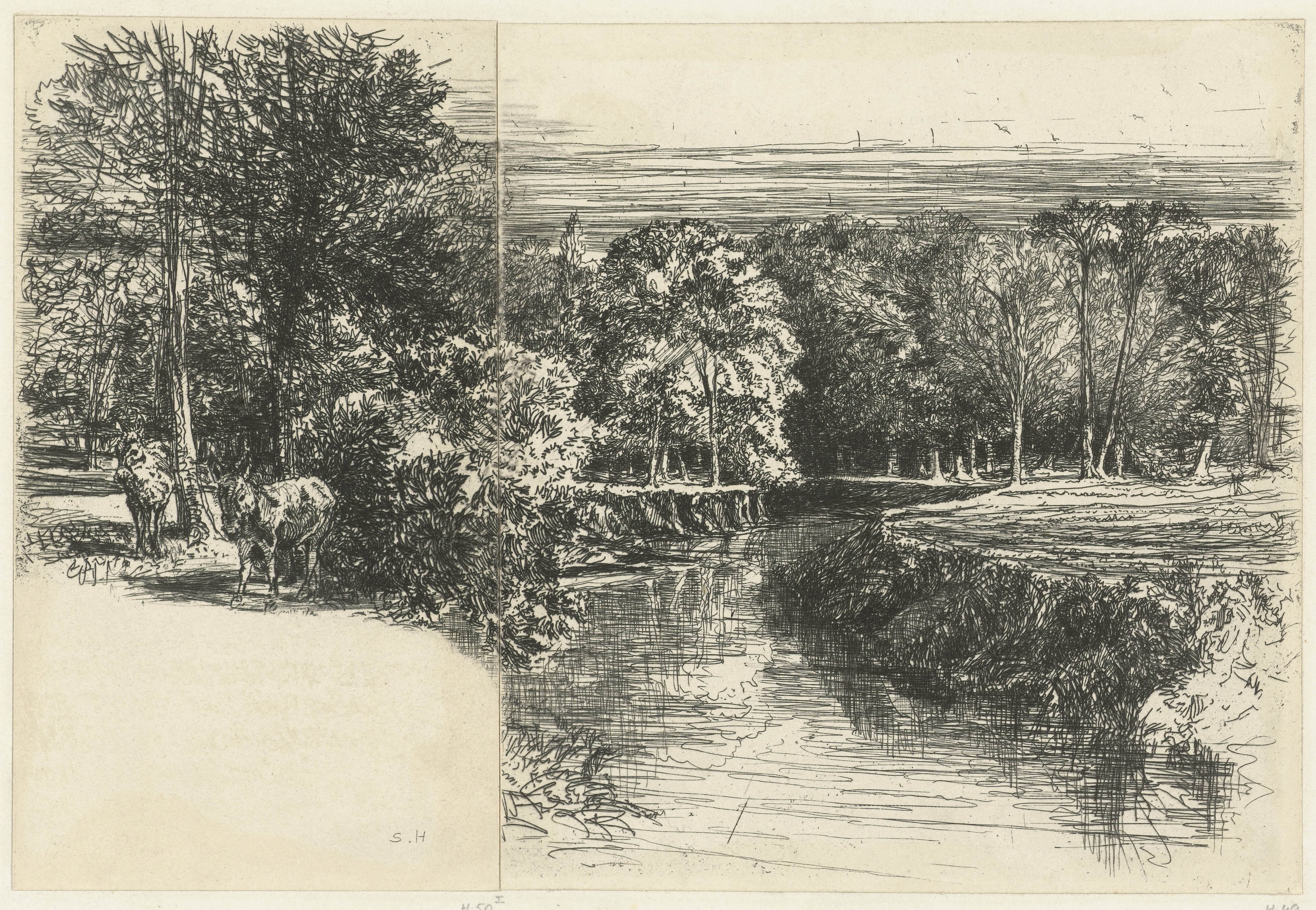Twee ezels en de rivier de Dumdrum