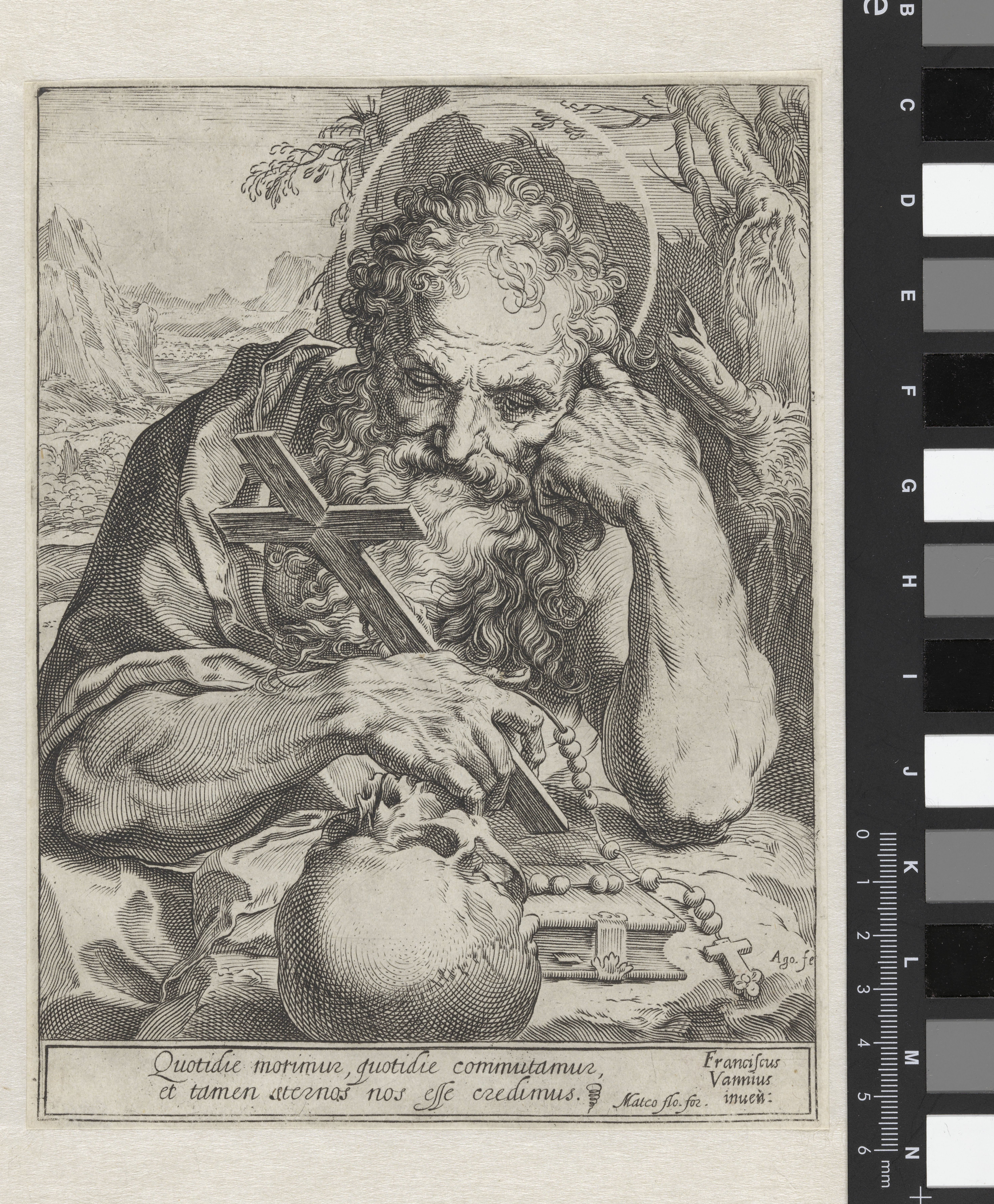 Heilige Hieronymus